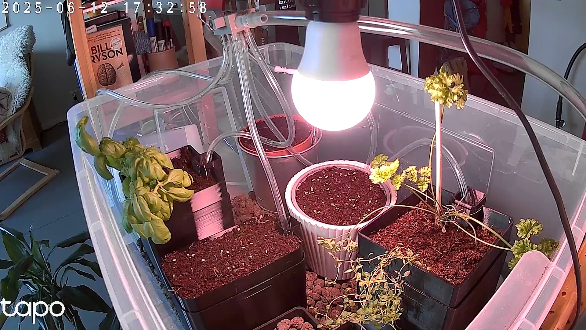 Timelapse image