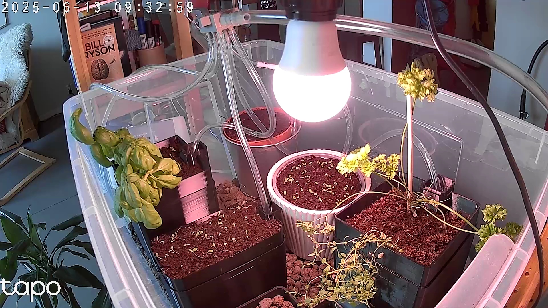 Timelapse image
