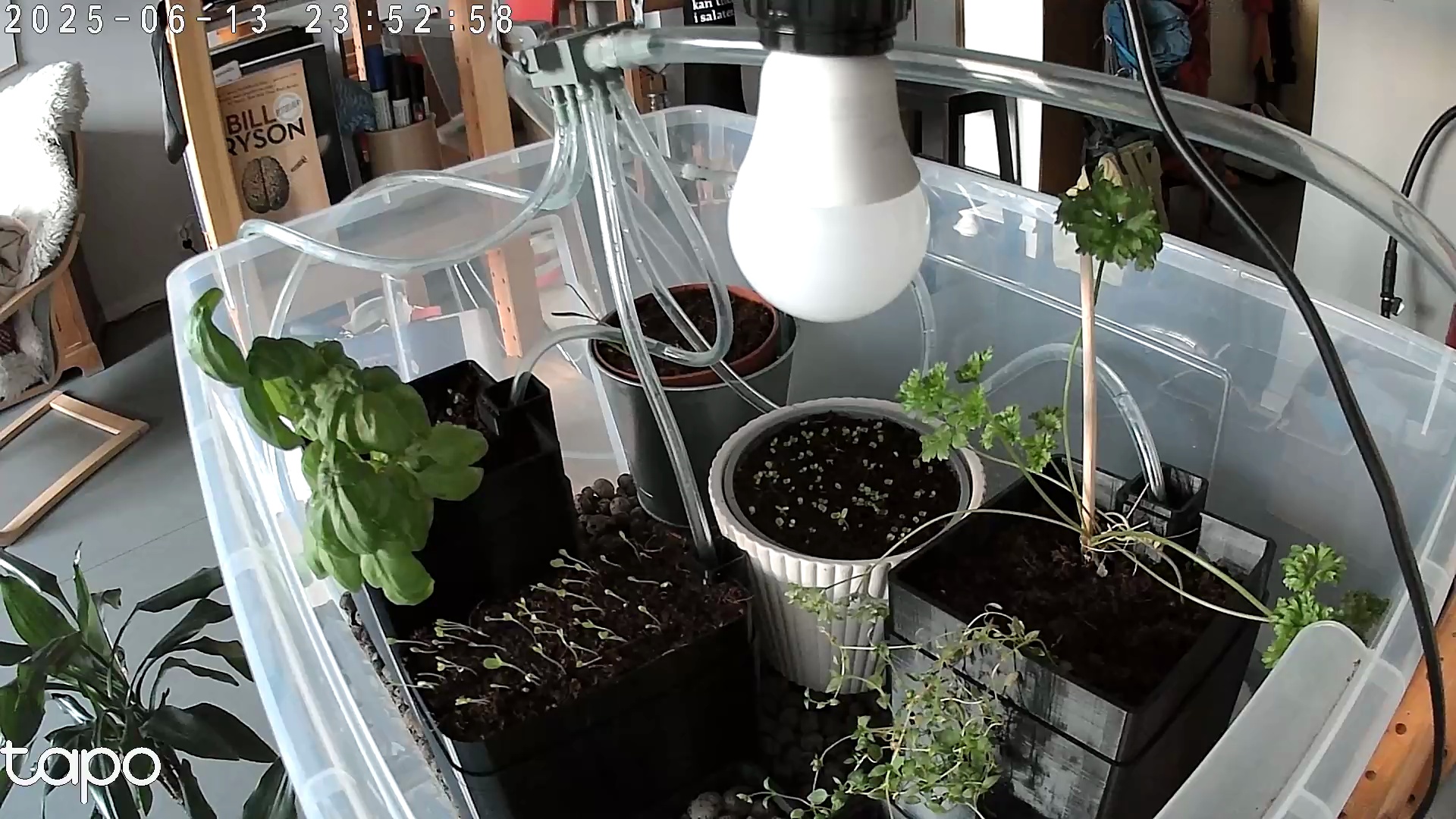 Timelapse image