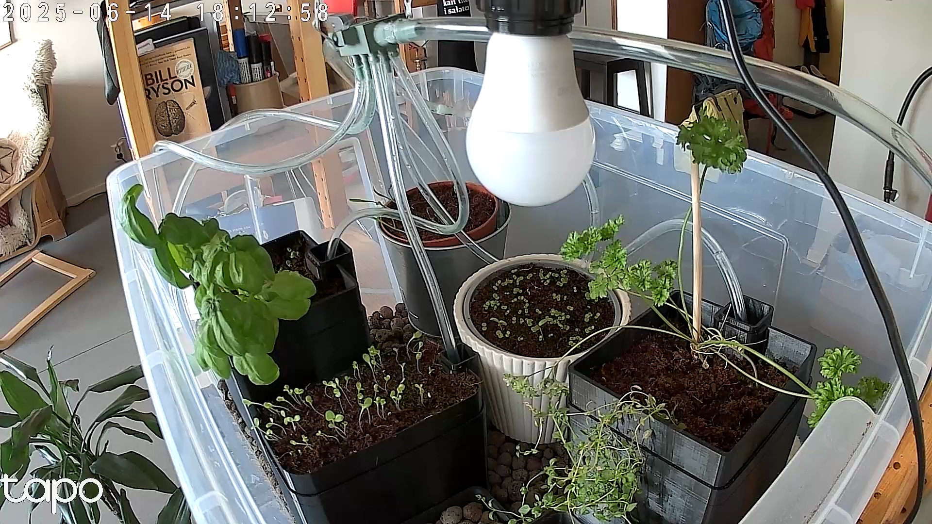 Timelapse image