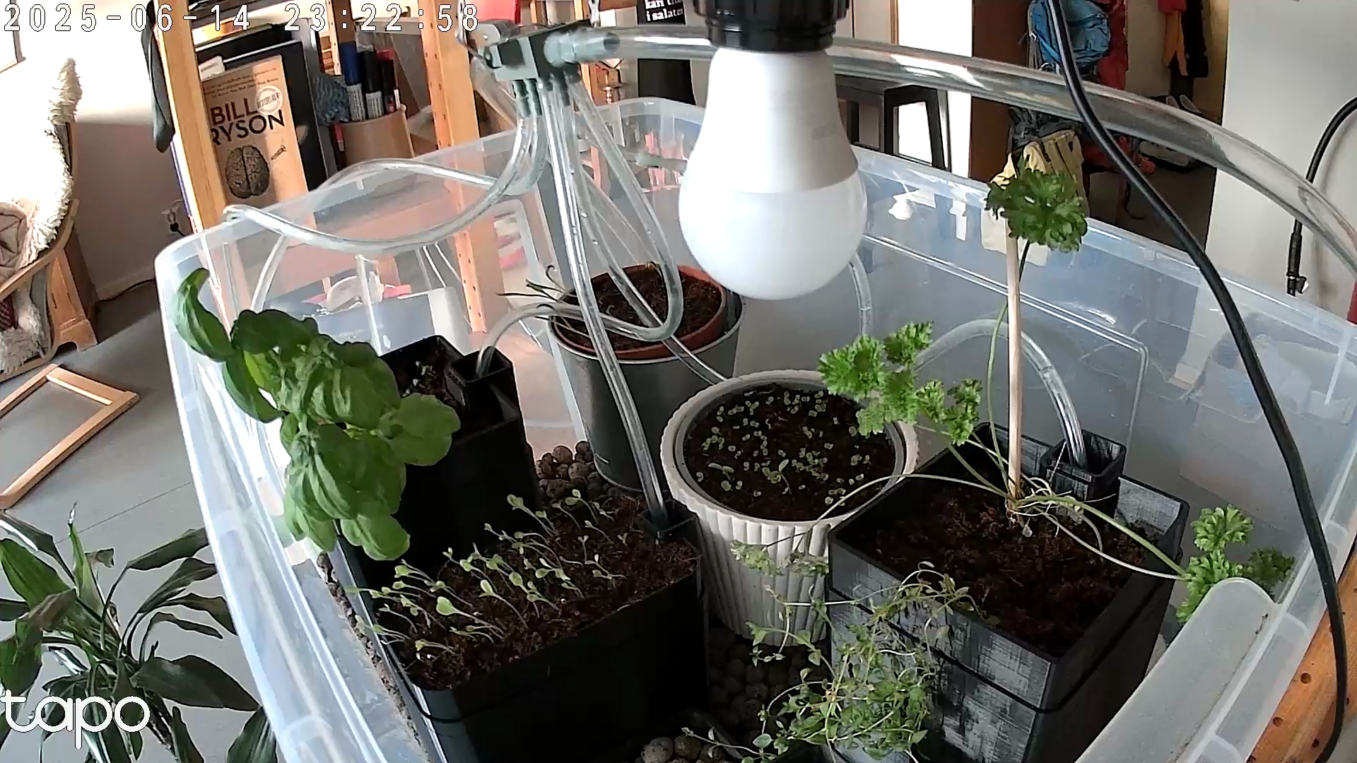 Timelapse image