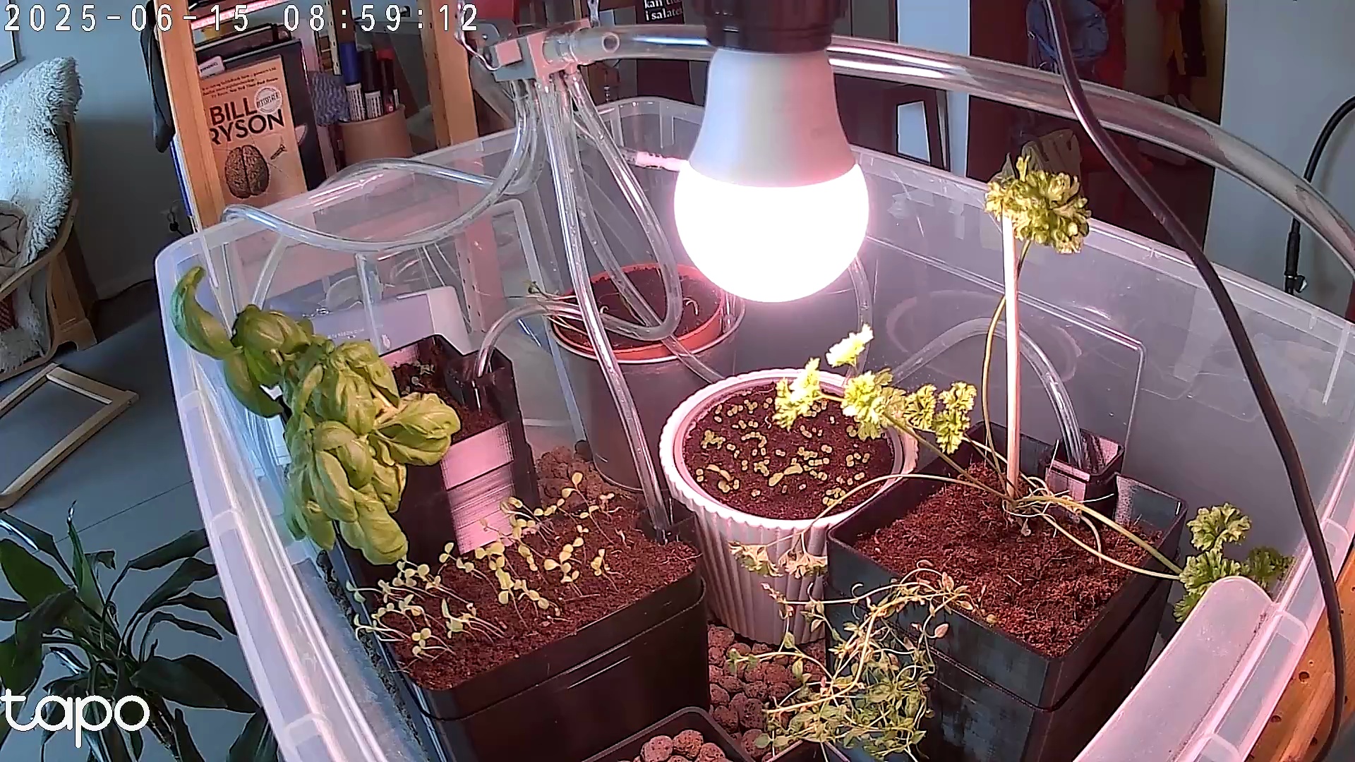 Timelapse image