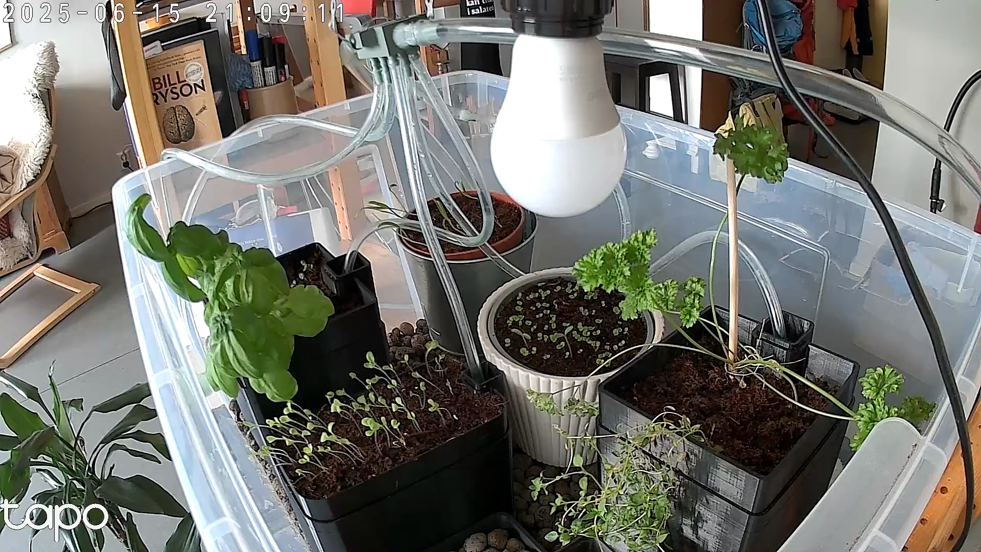 Timelapse image
