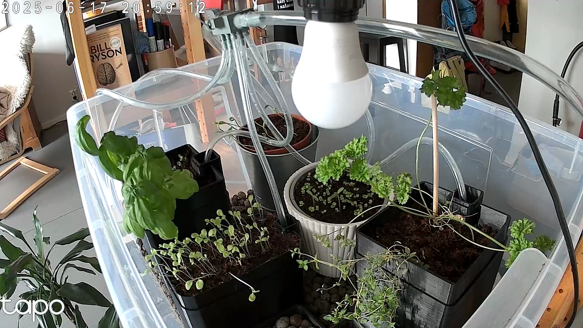 Timelapse image