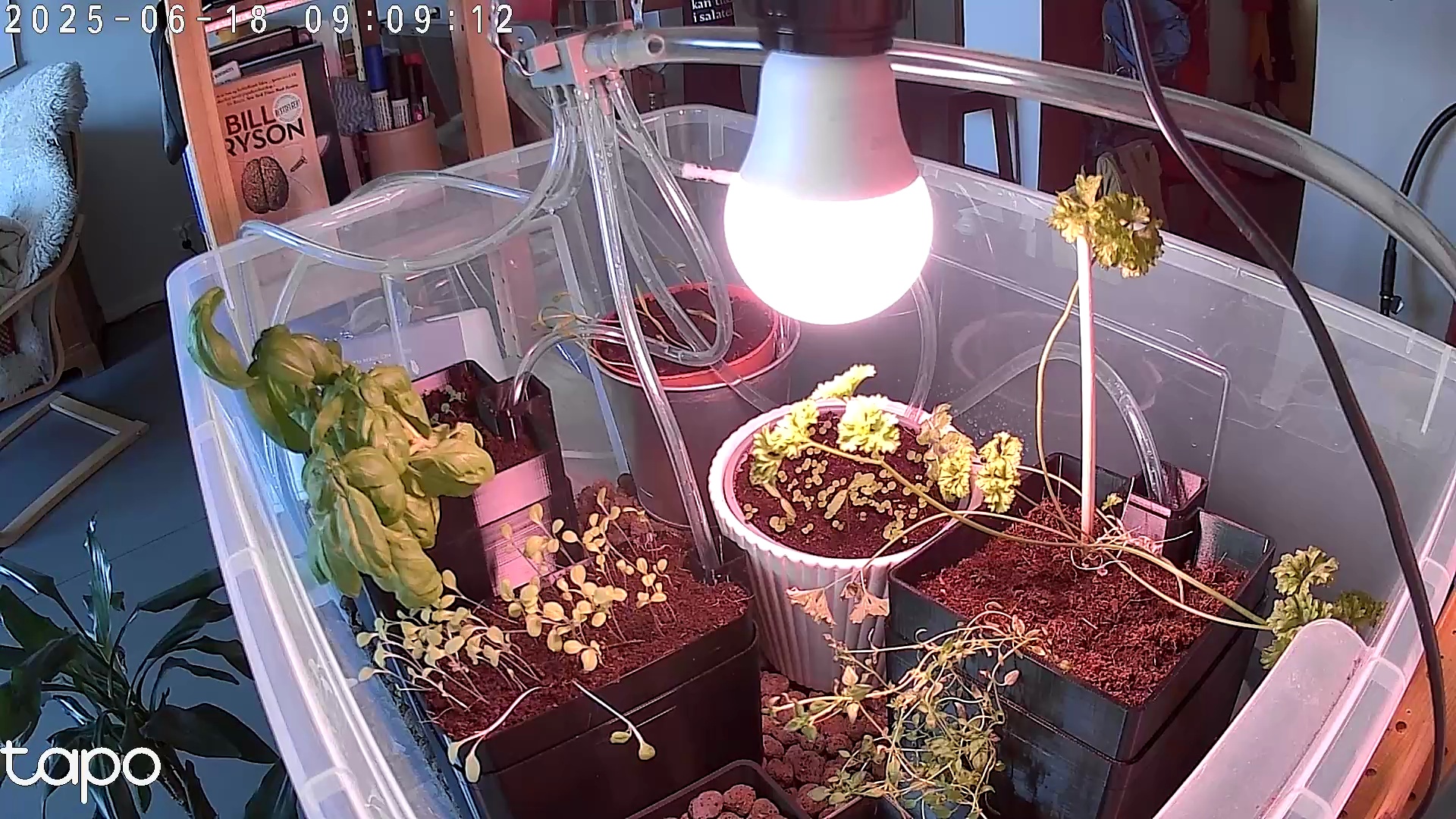 Timelapse image