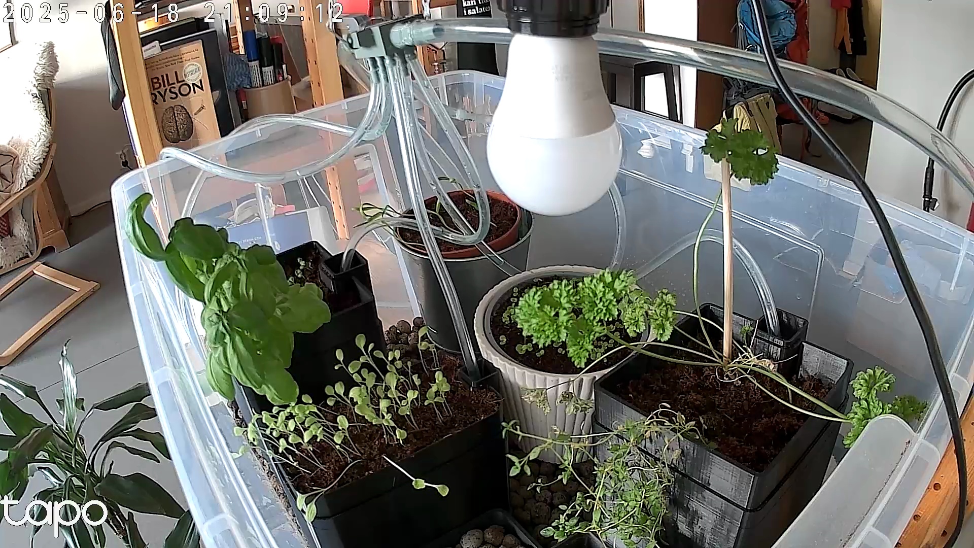 Timelapse image