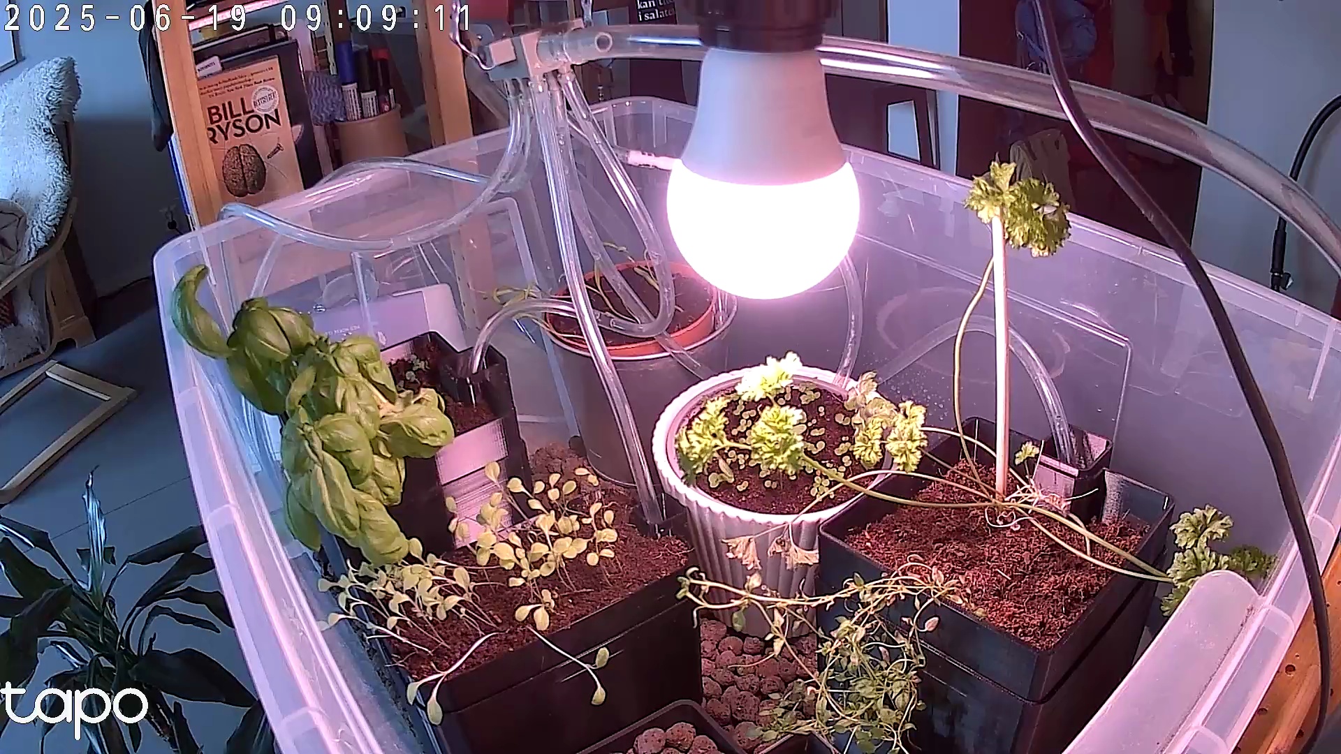 Timelapse image