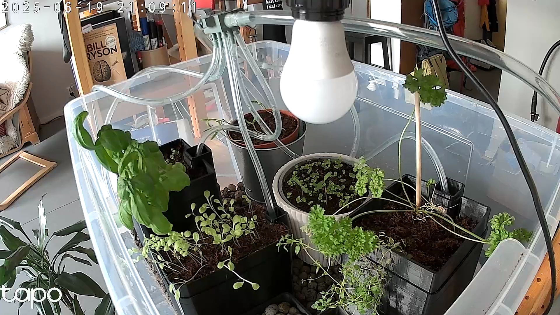 Timelapse image
