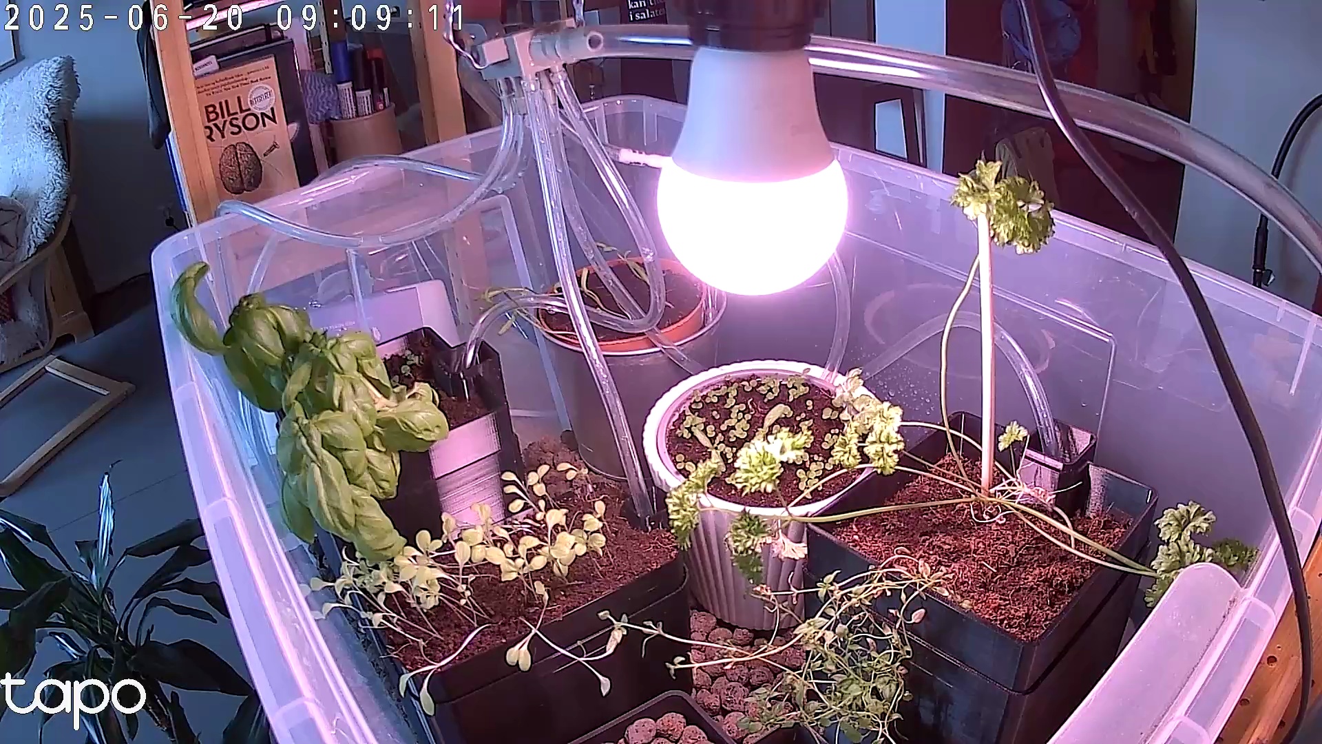 Timelapse image
