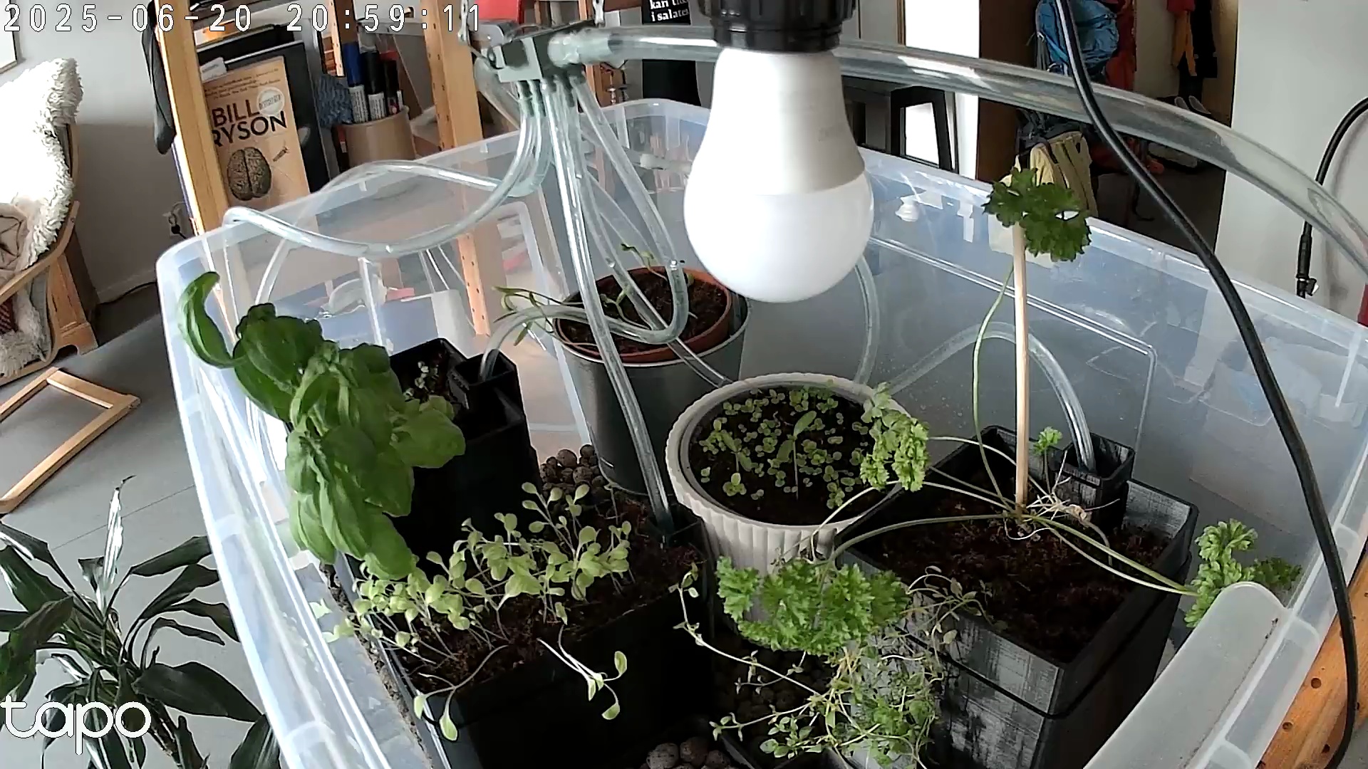 Timelapse image