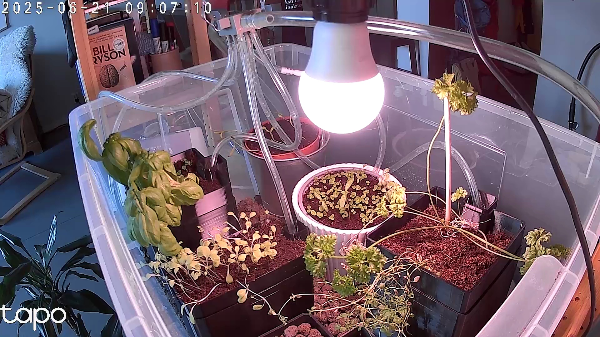 Timelapse image