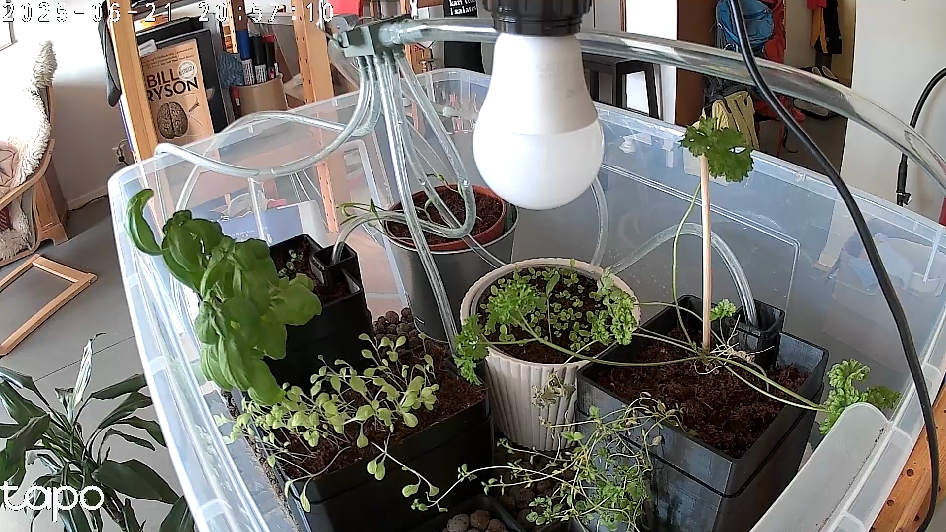 Timelapse image