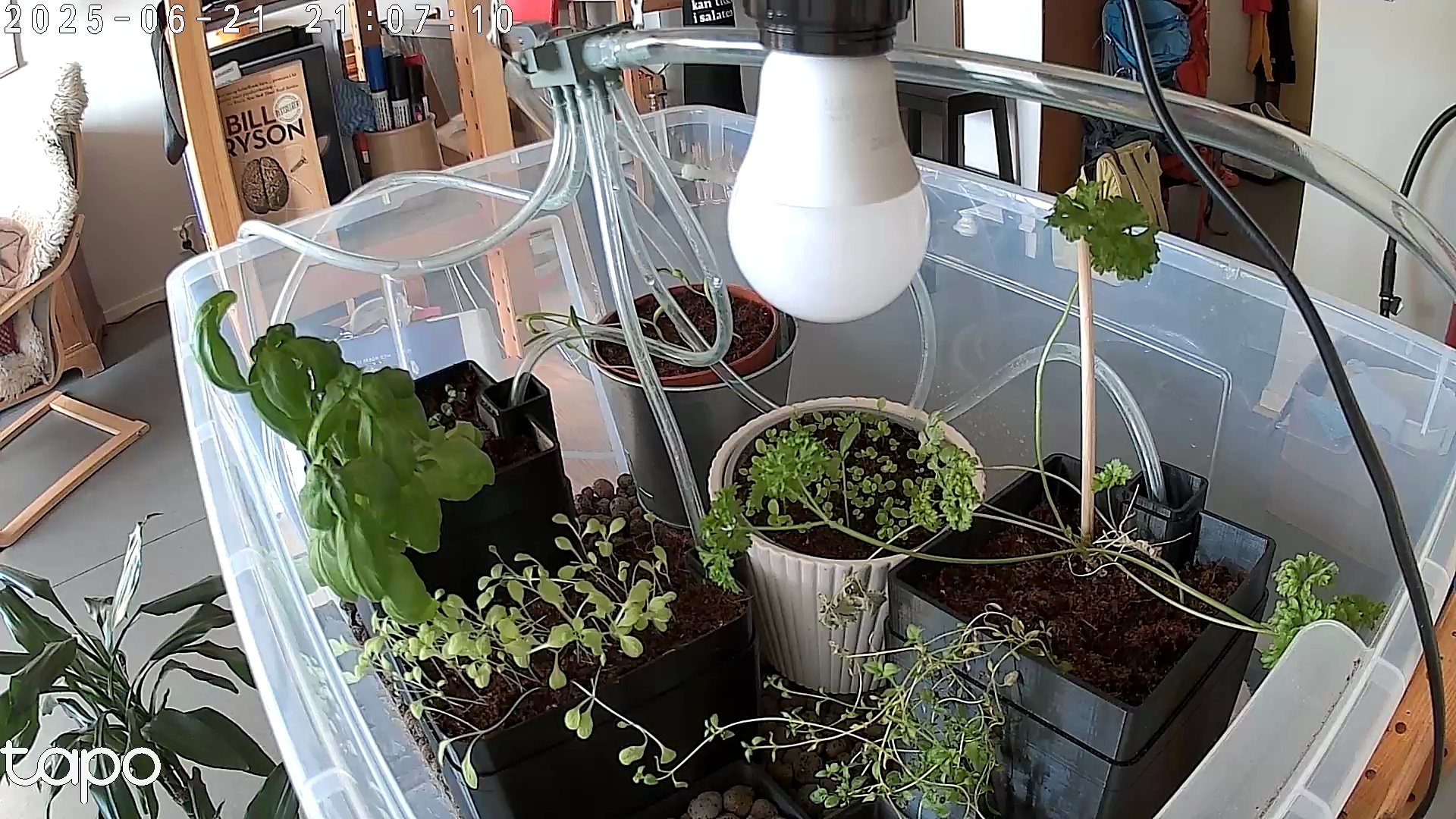 Timelapse image