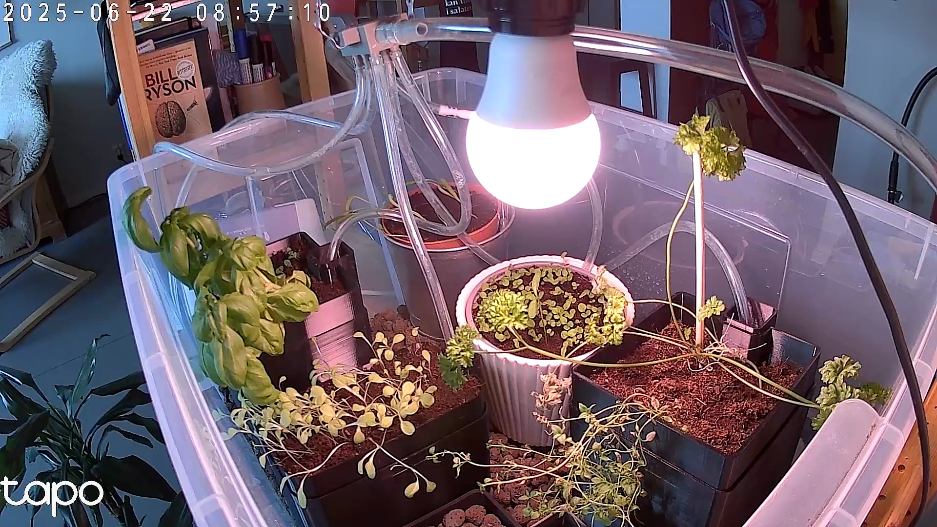 Timelapse image