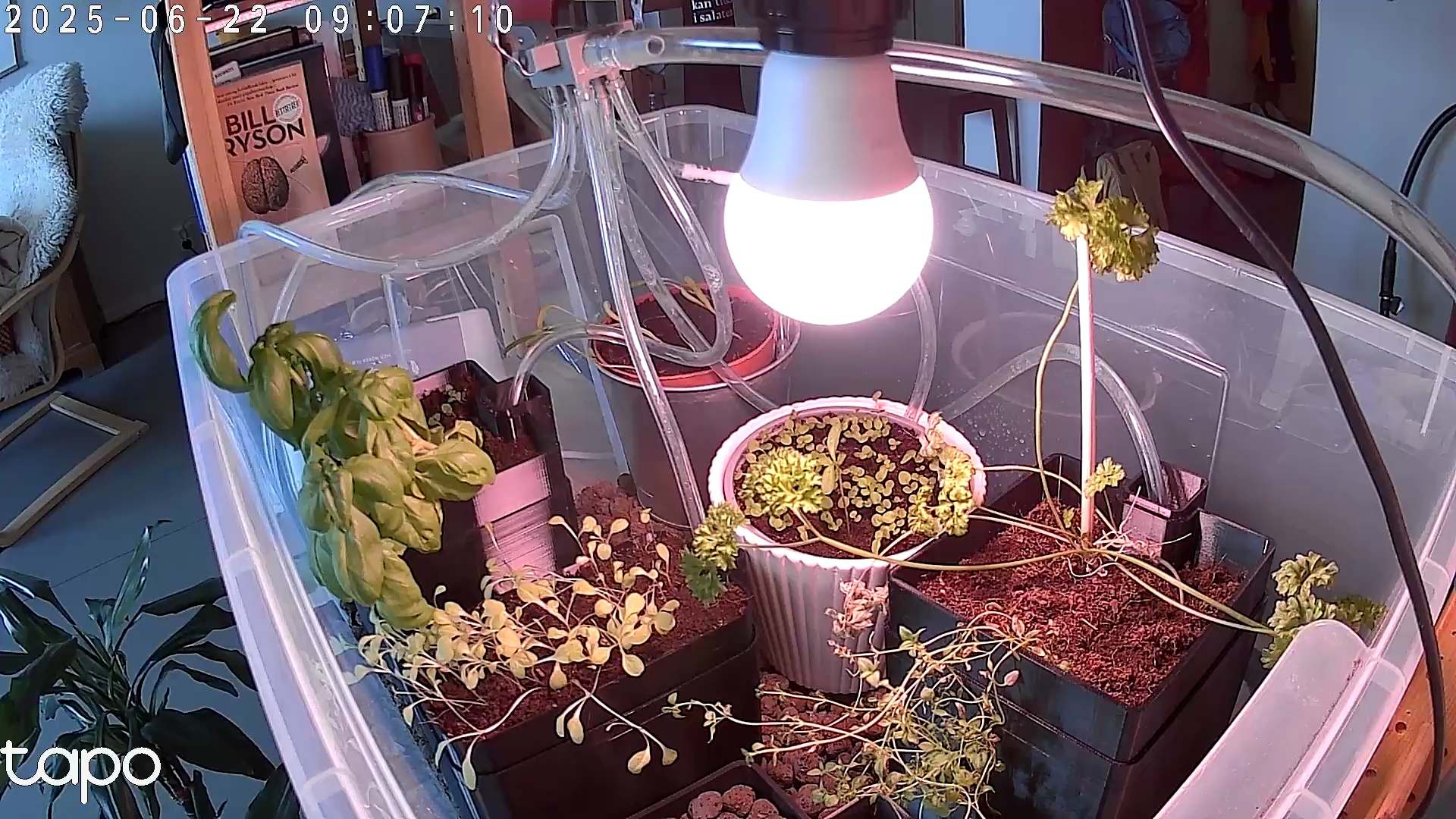 Timelapse image