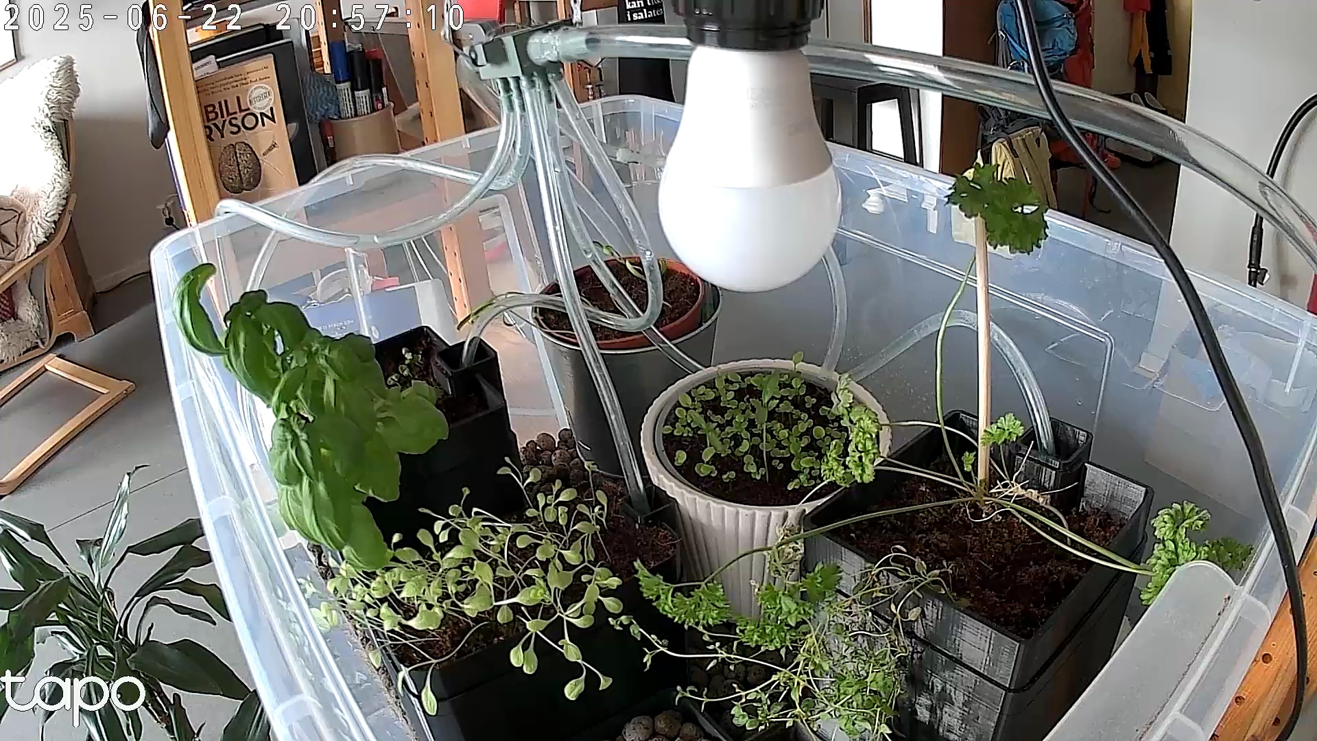 Timelapse image