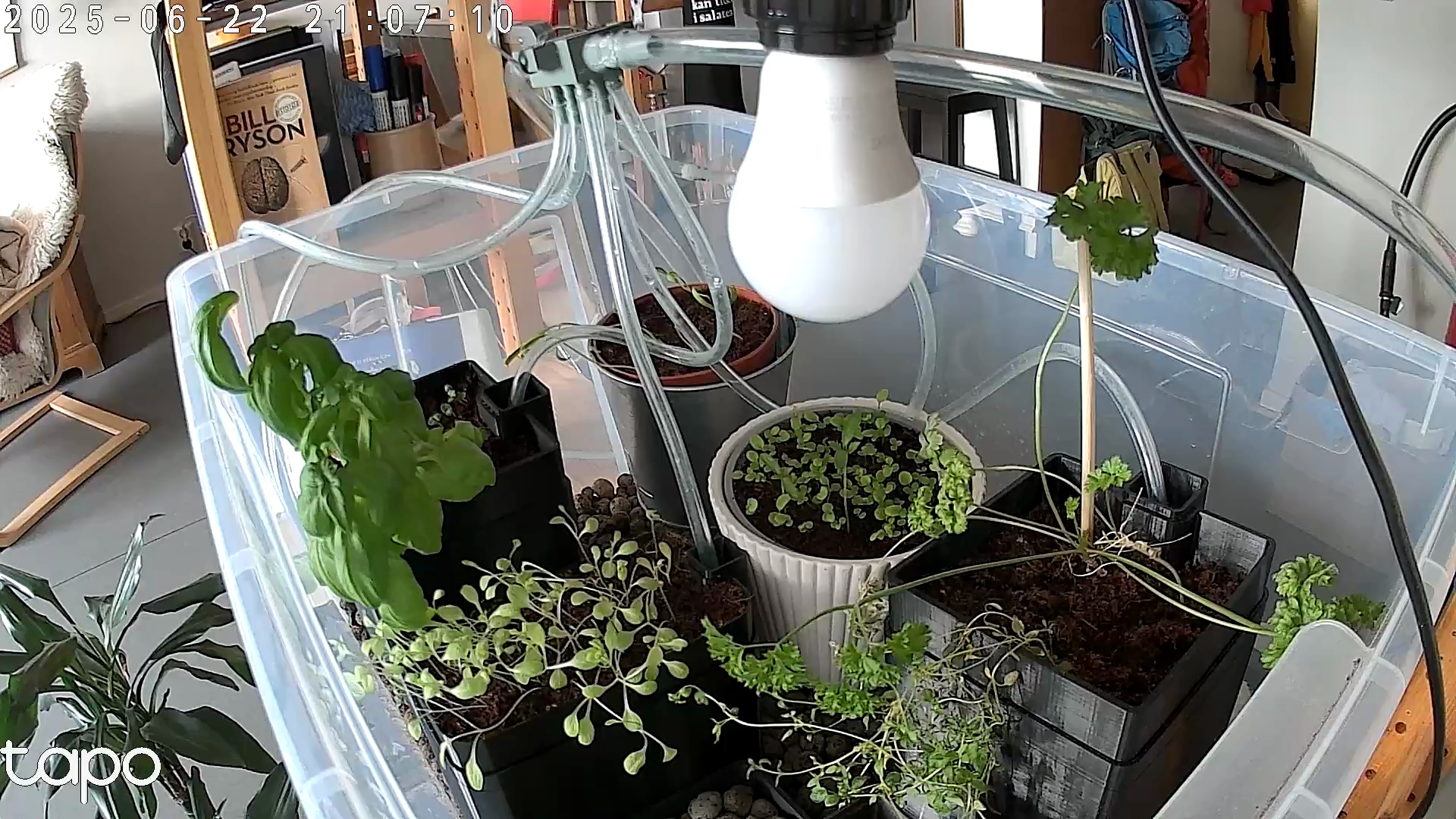 Timelapse image