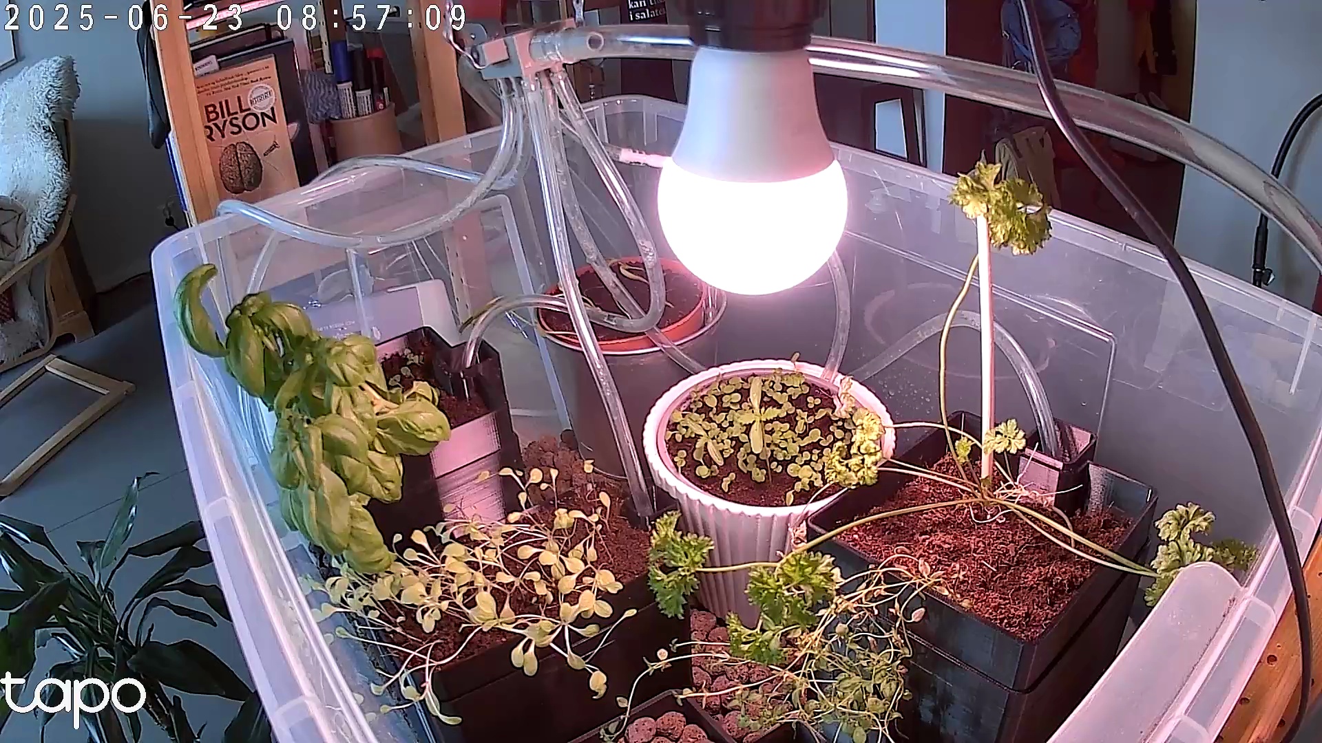 Timelapse image