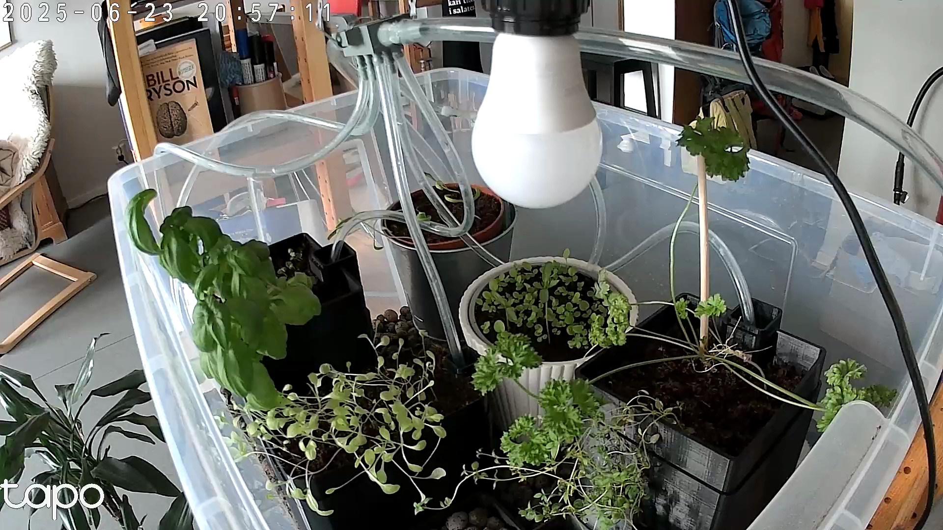 Timelapse image