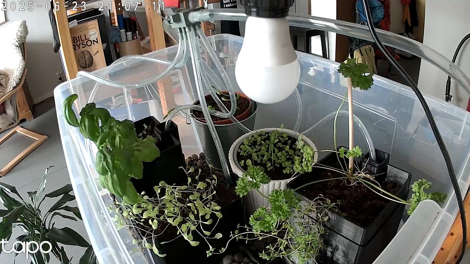 Timelapse image