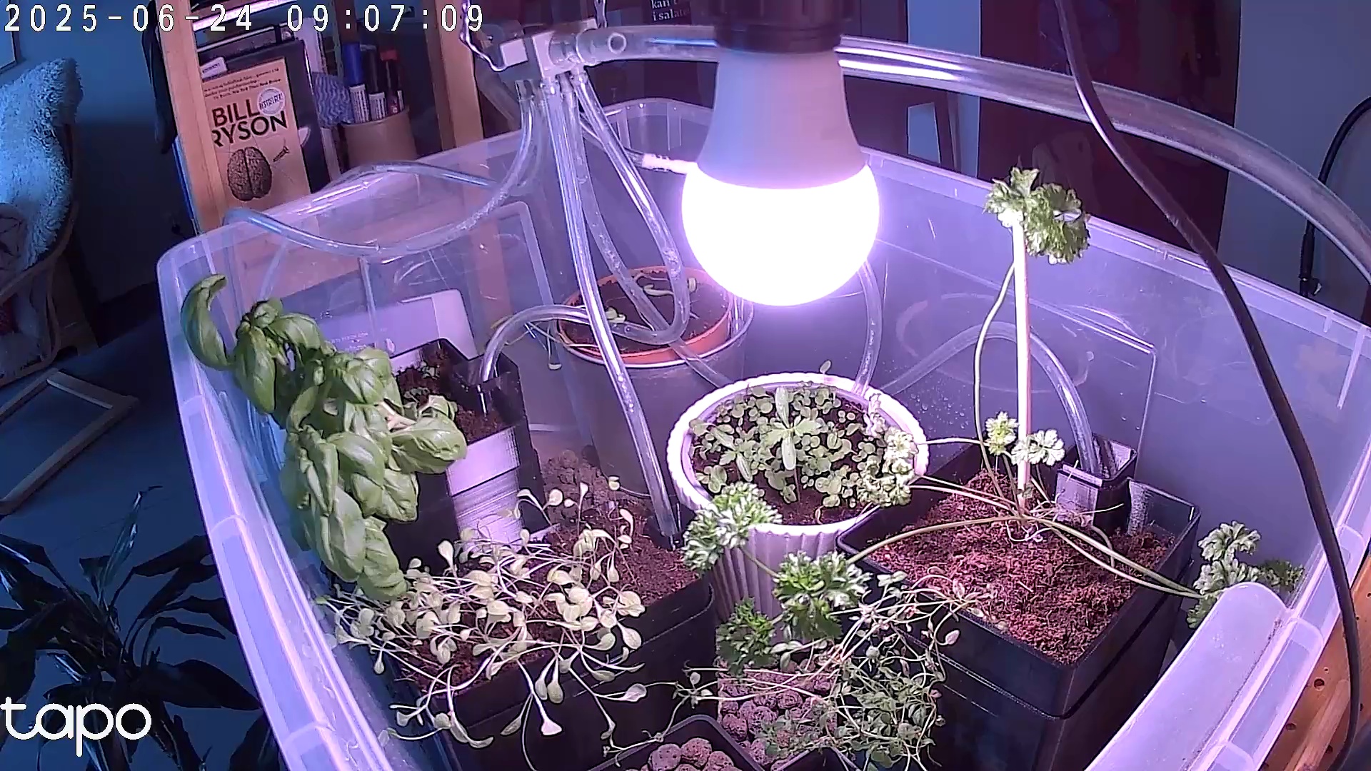 Timelapse image