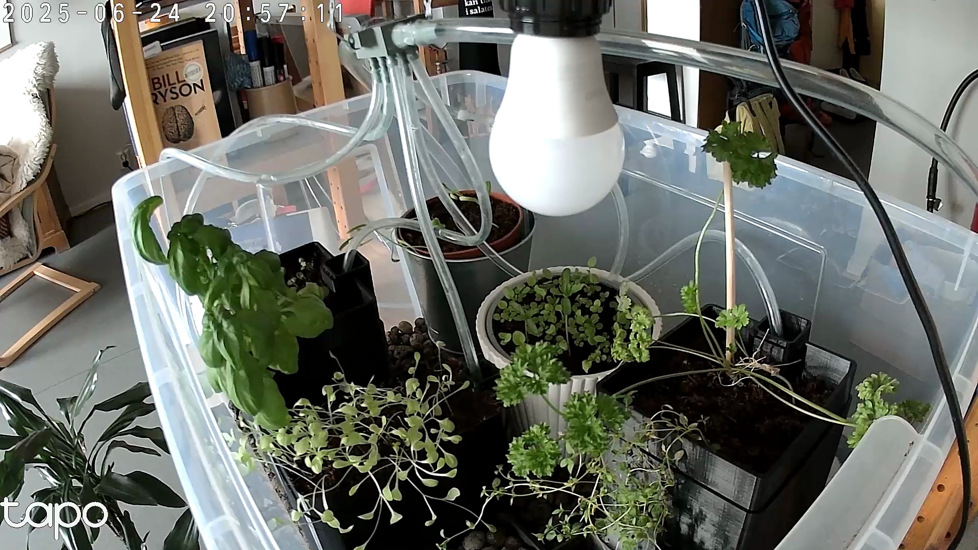 Timelapse image