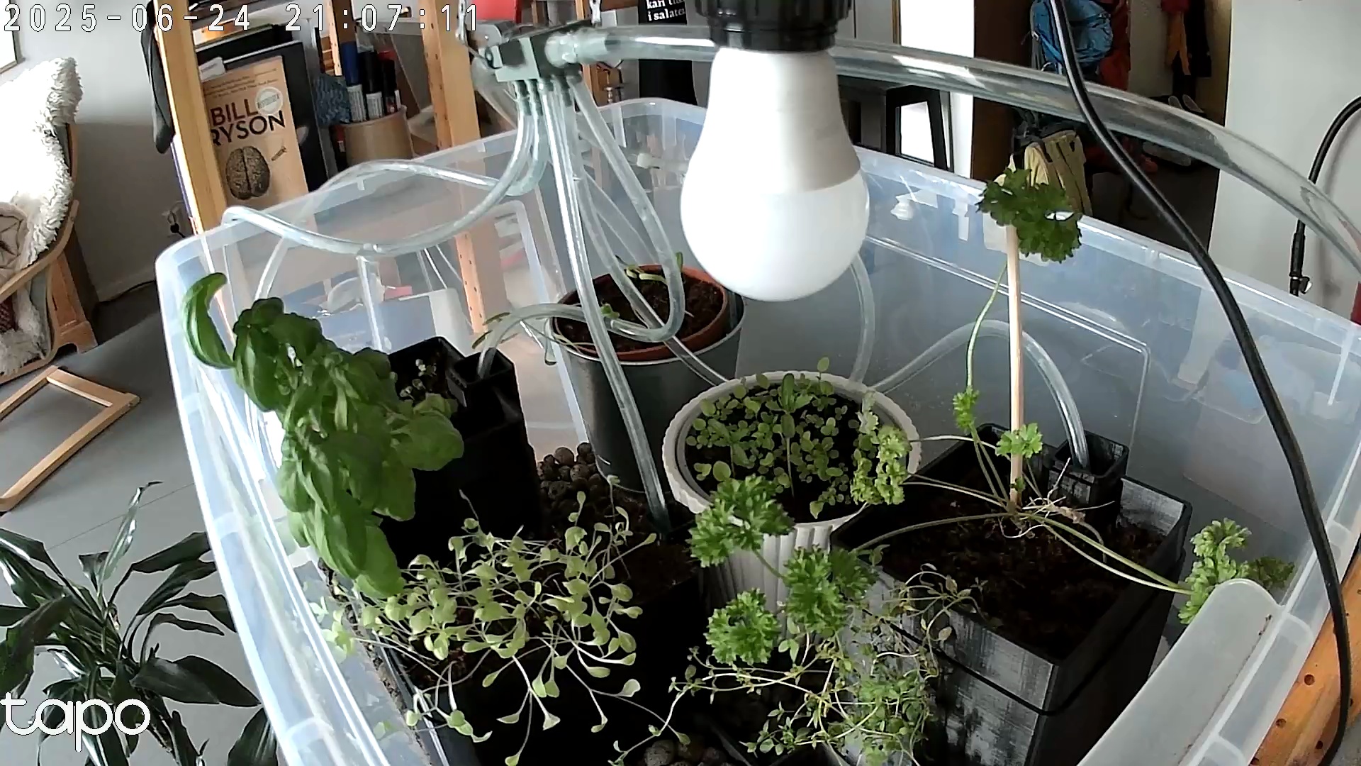 Timelapse image