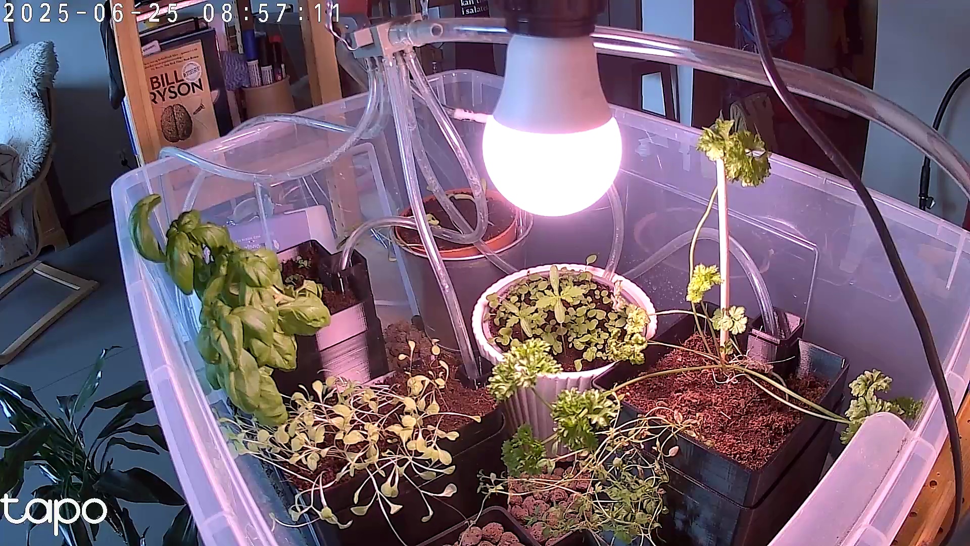 Timelapse image