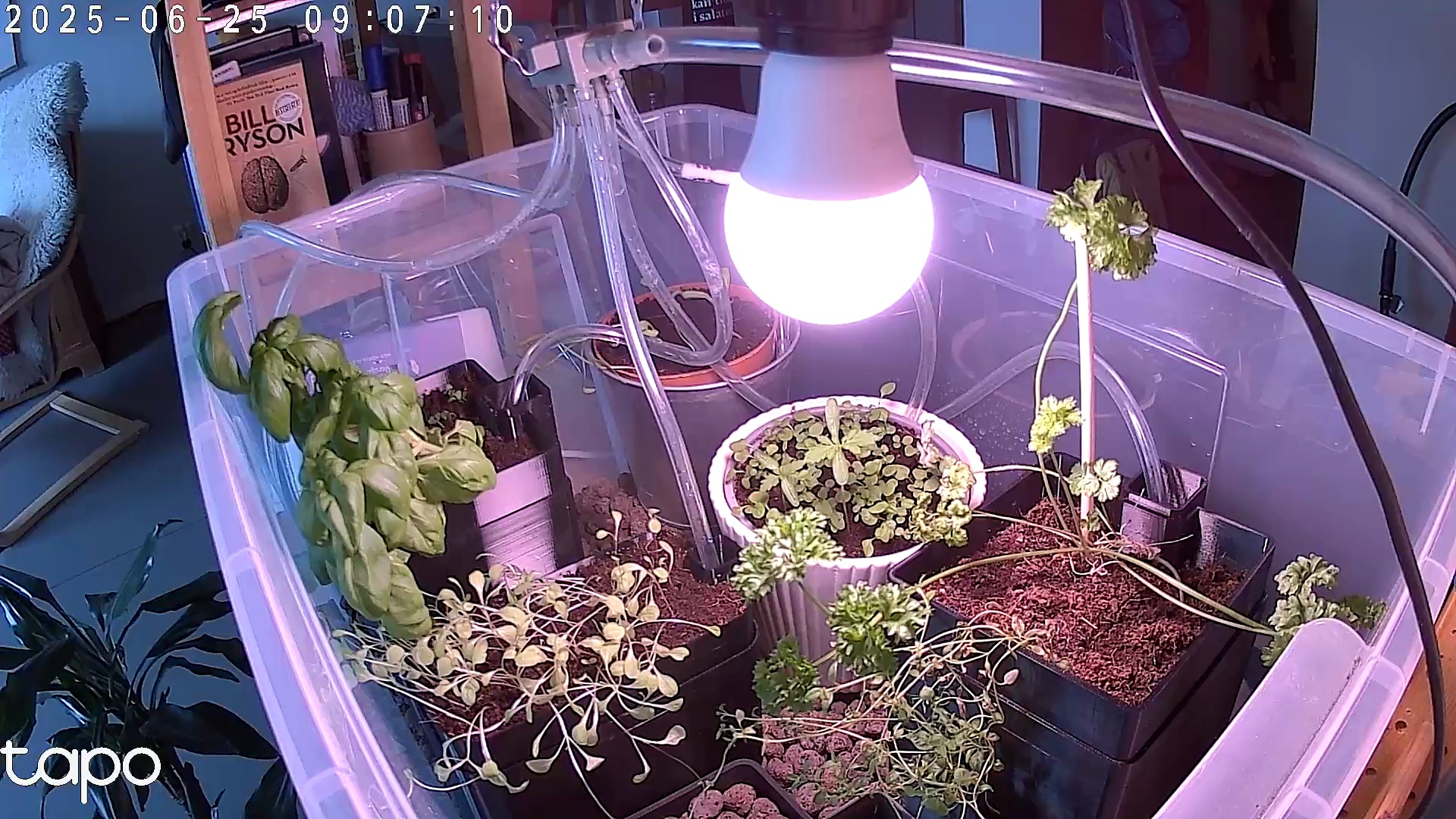 Timelapse image