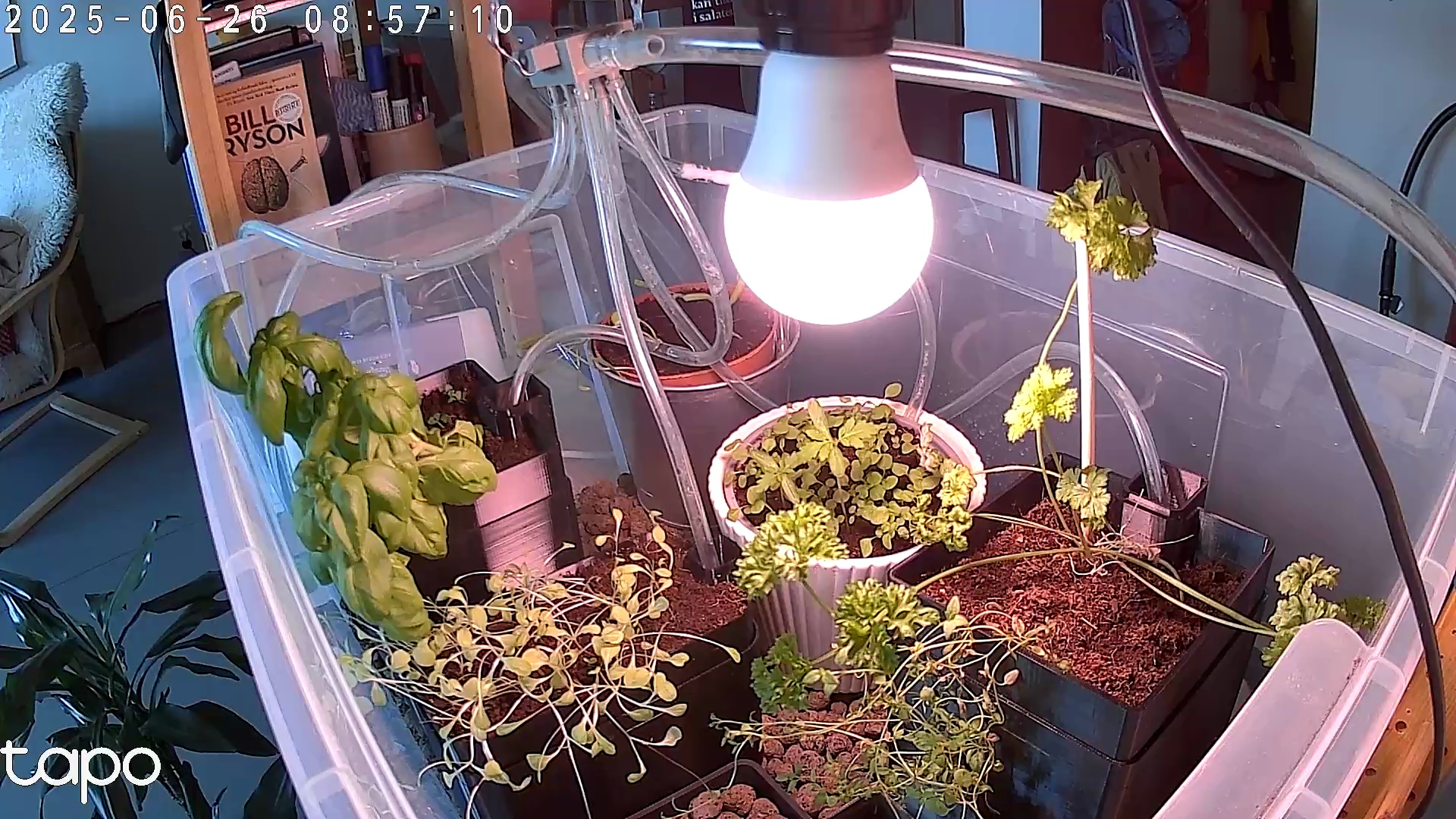 Timelapse image