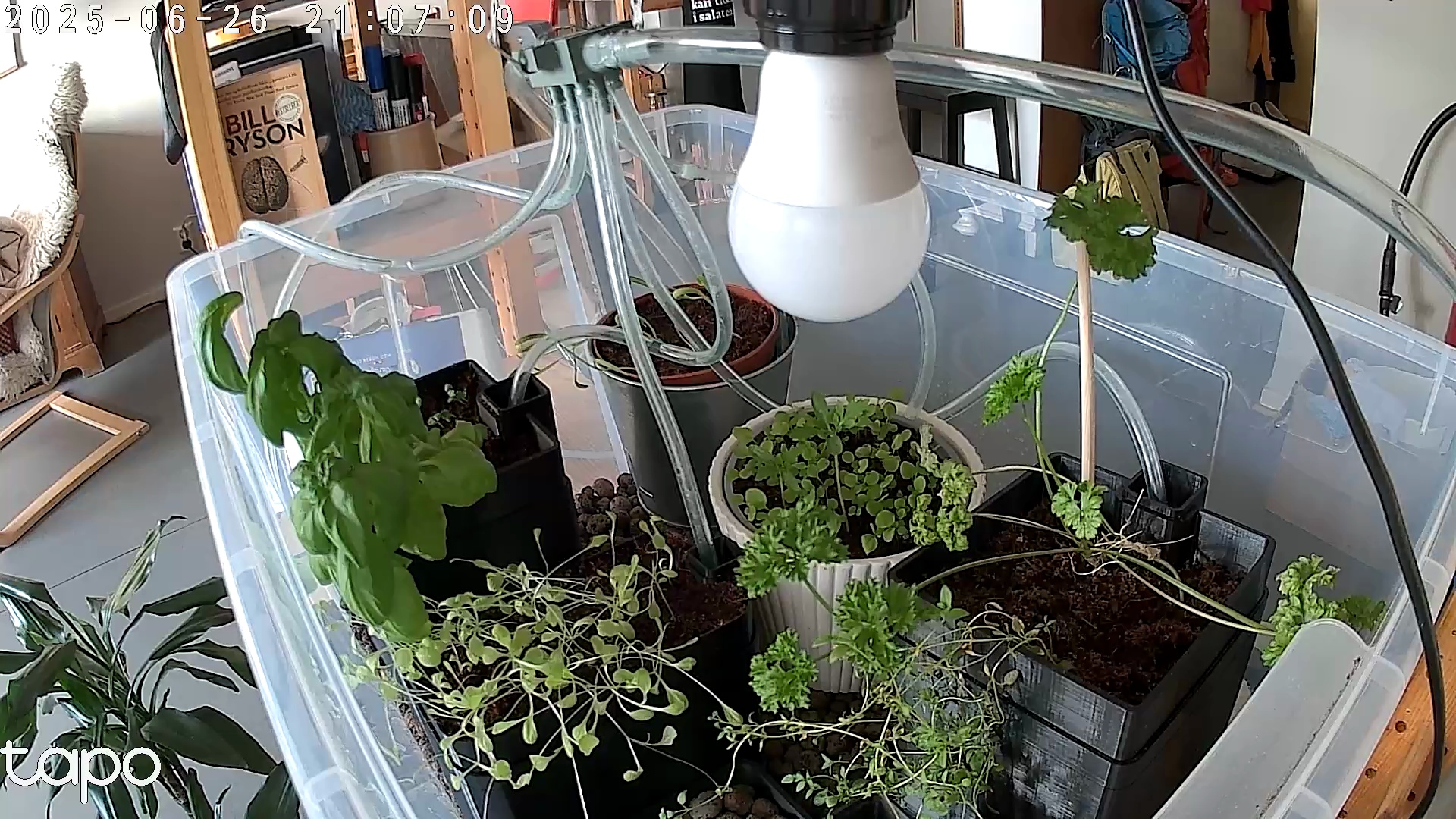Timelapse image