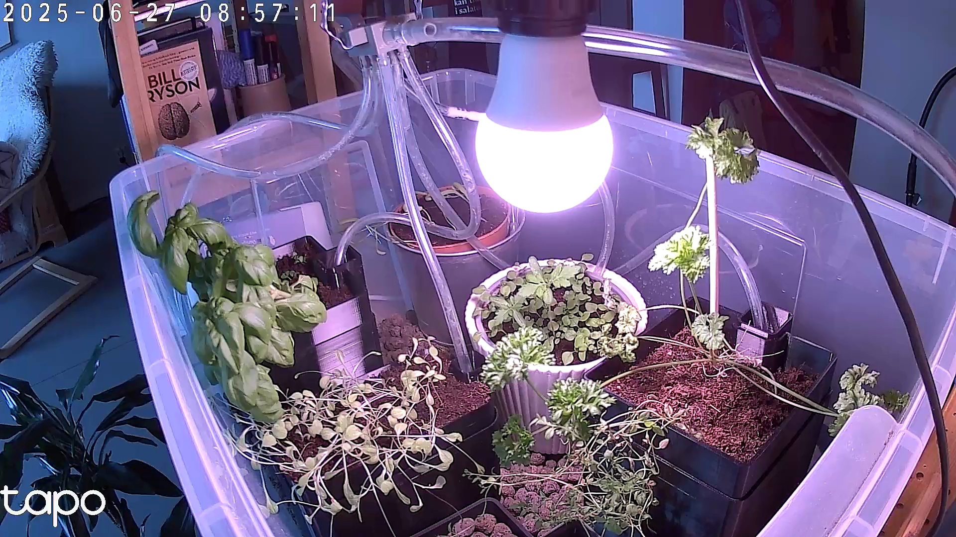 Timelapse image
