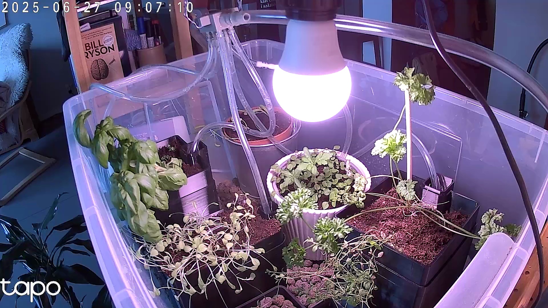 Timelapse image