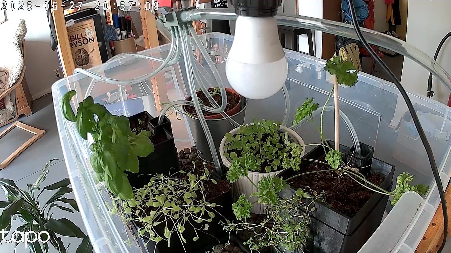 Timelapse image