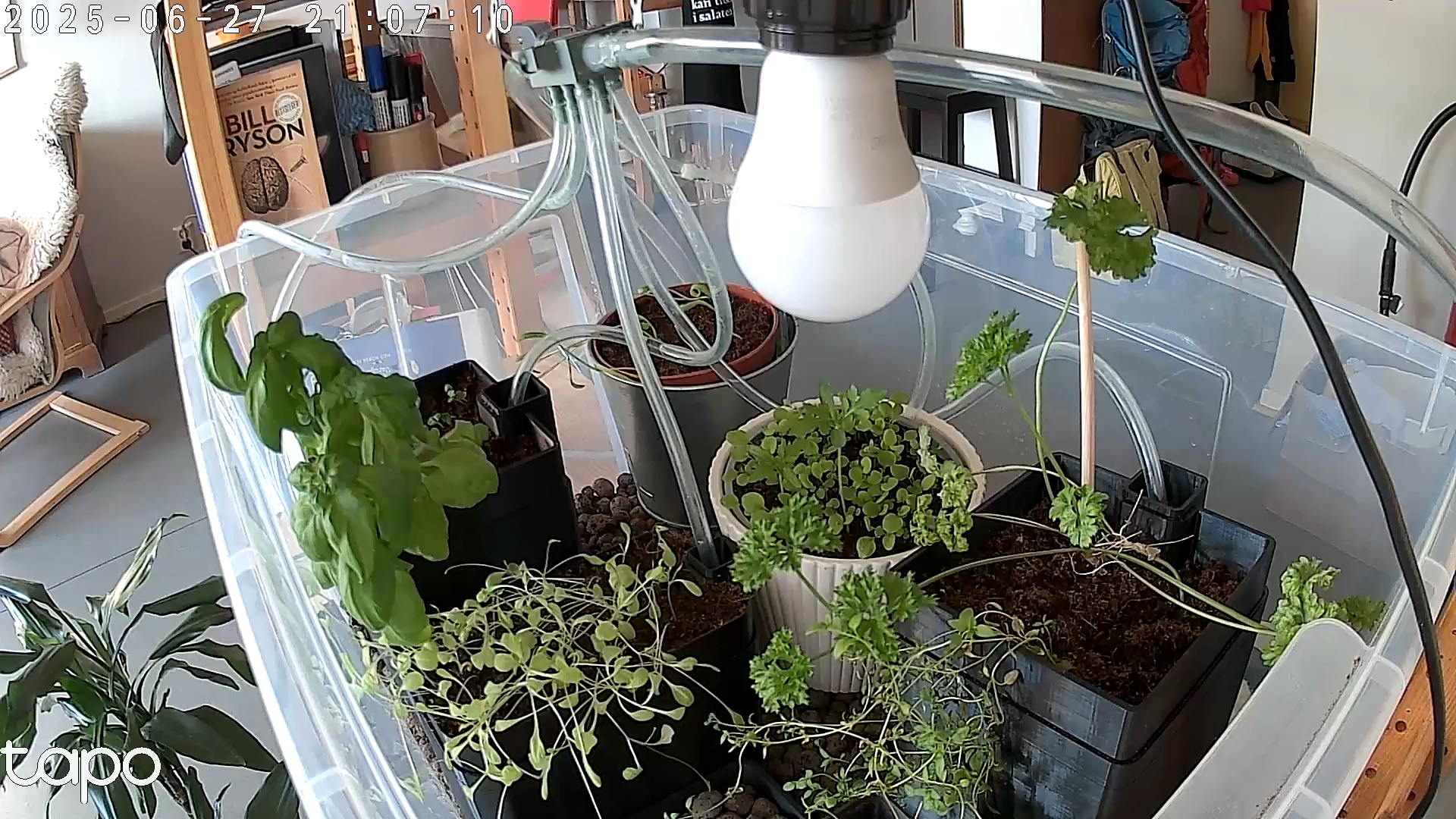 Timelapse image