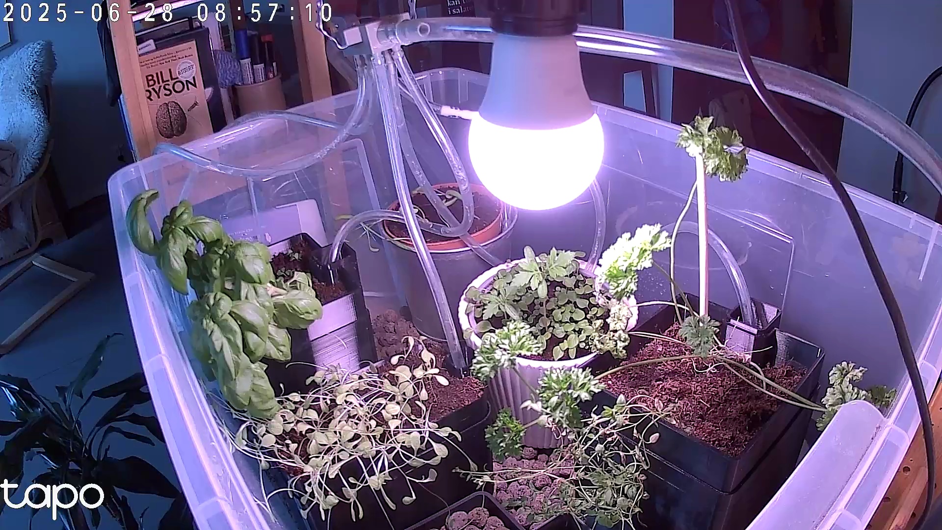 Timelapse image