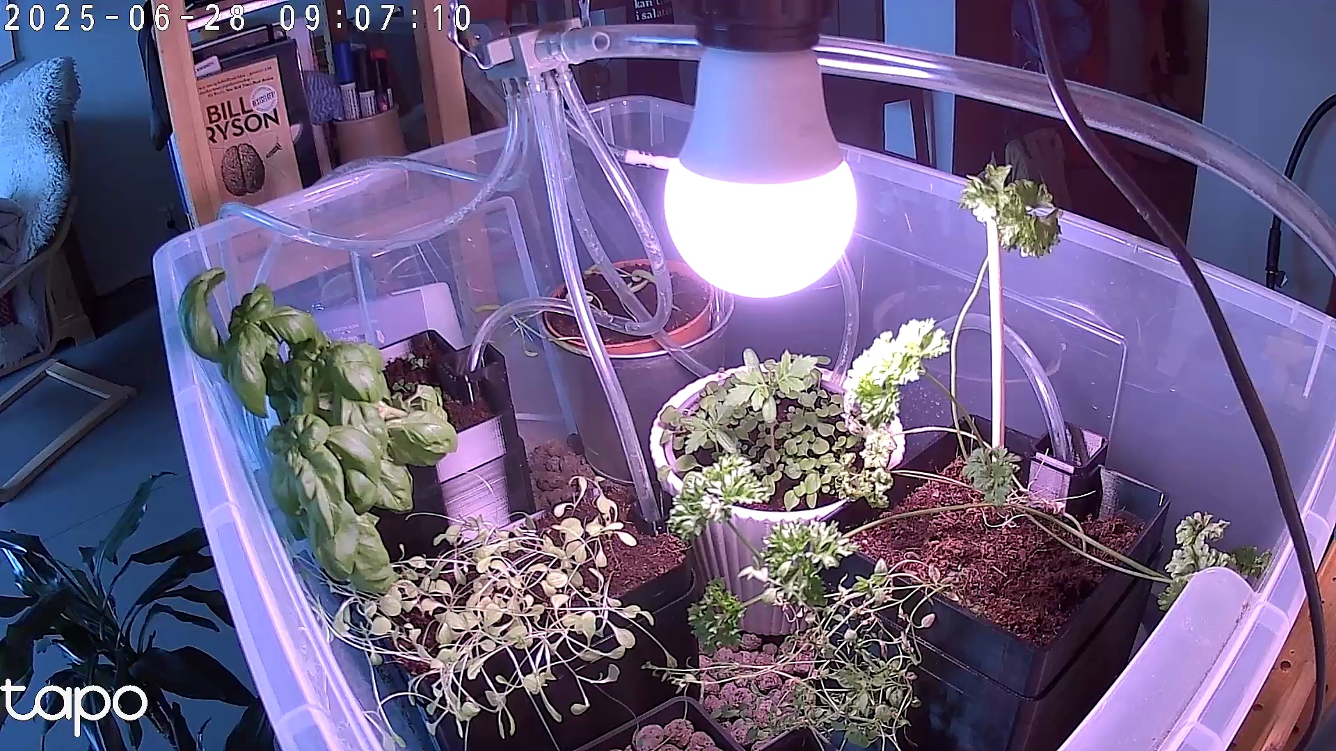 Timelapse image