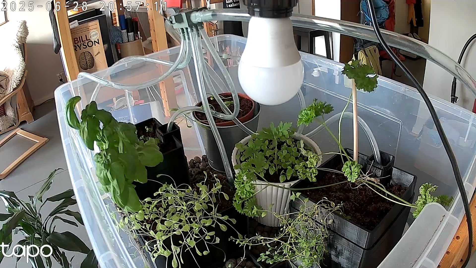 Timelapse image