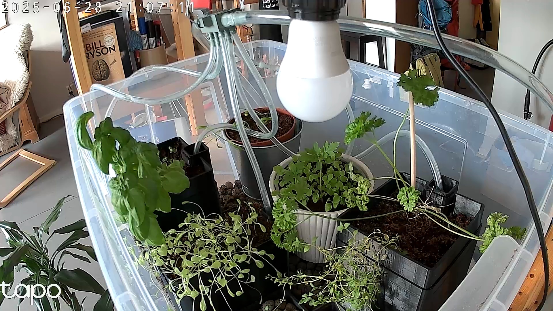 Timelapse image