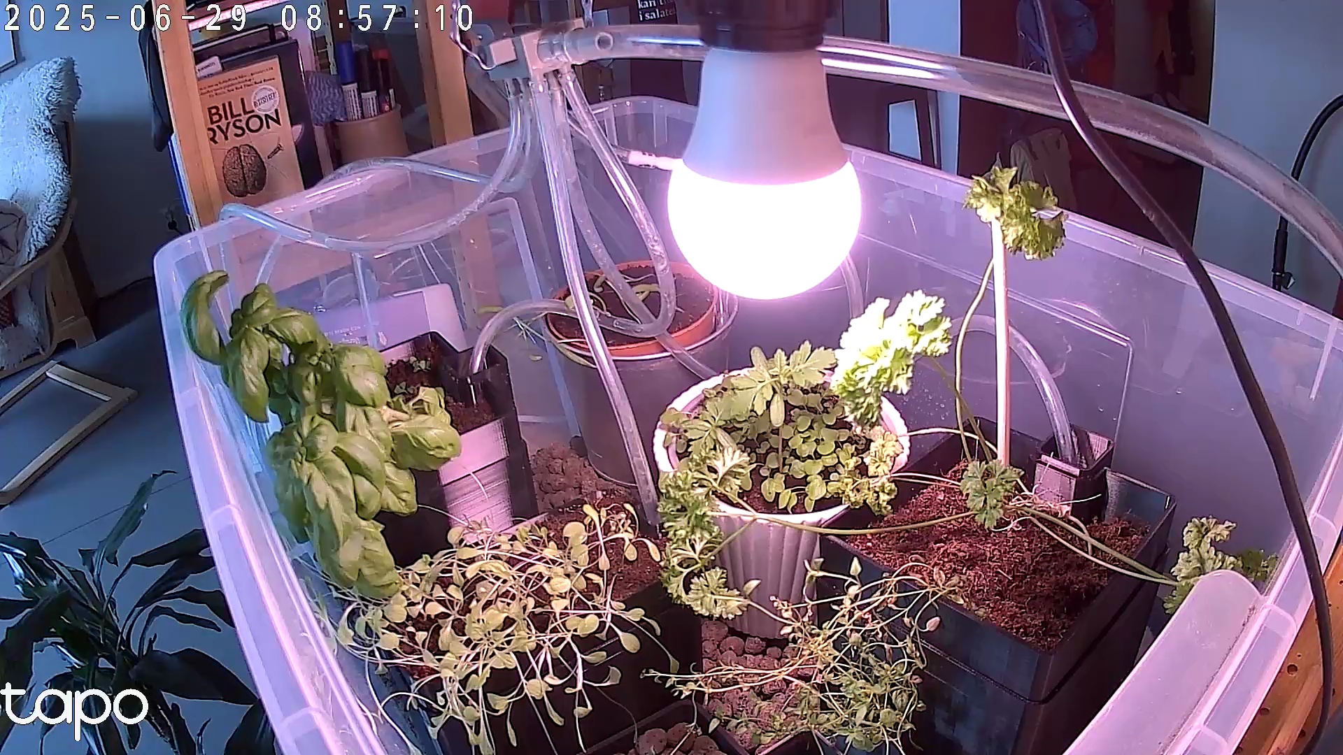 Timelapse image