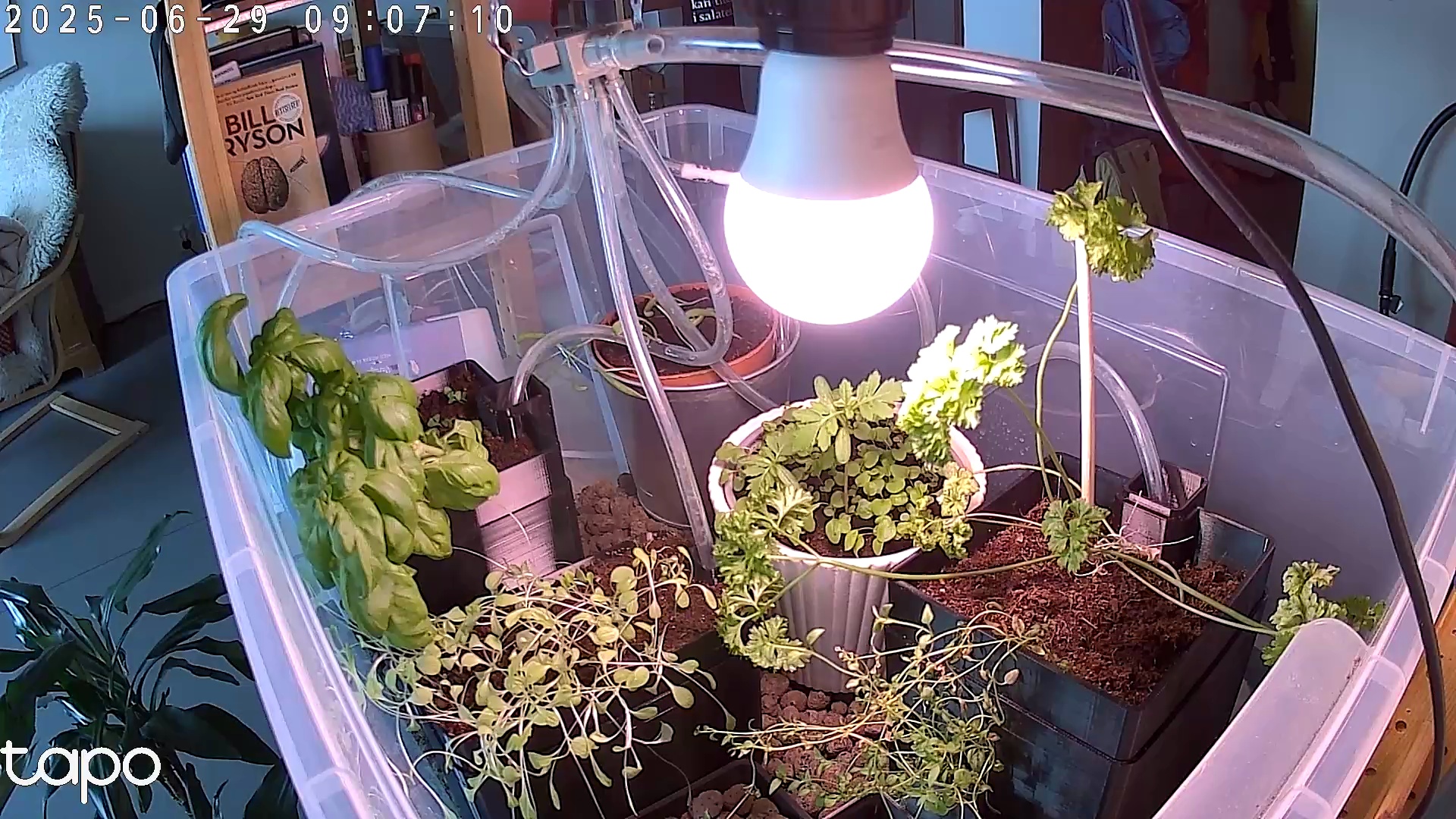 Timelapse image