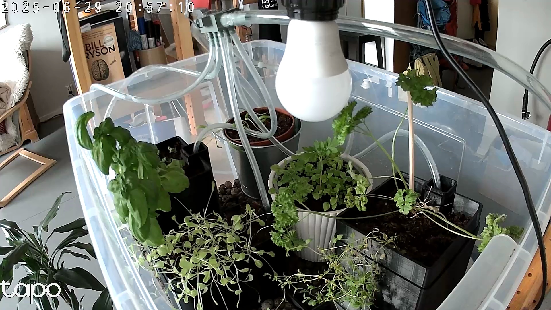 Timelapse image