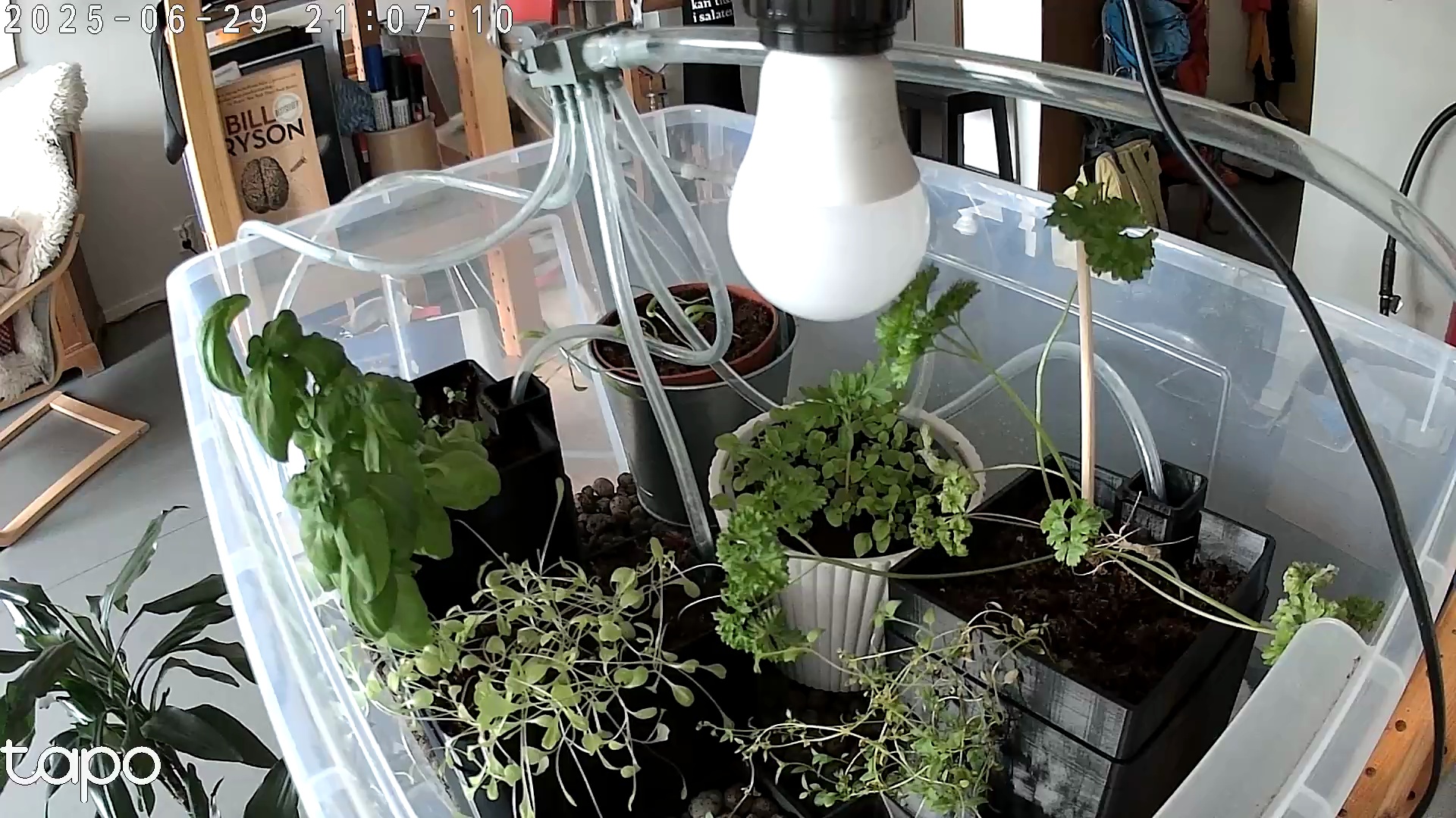 Timelapse image
