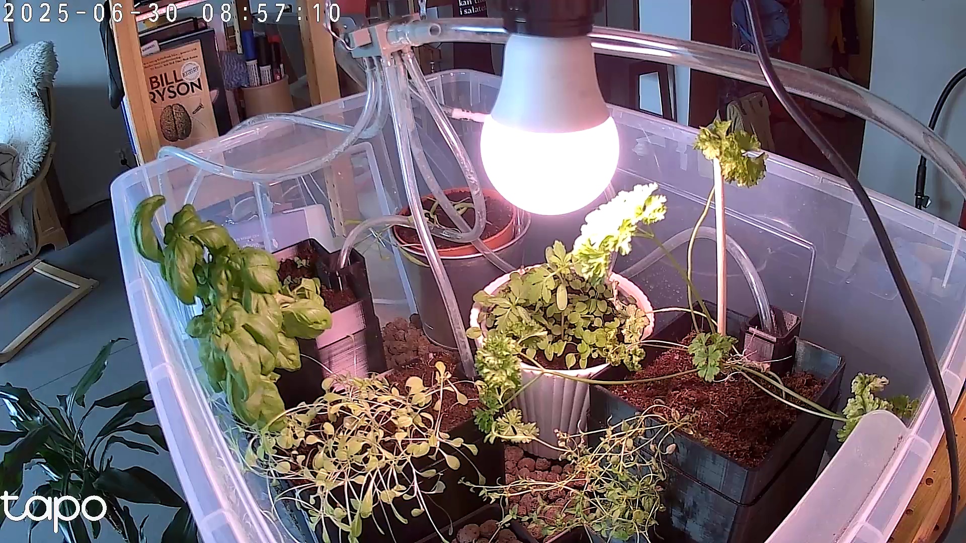 Timelapse image