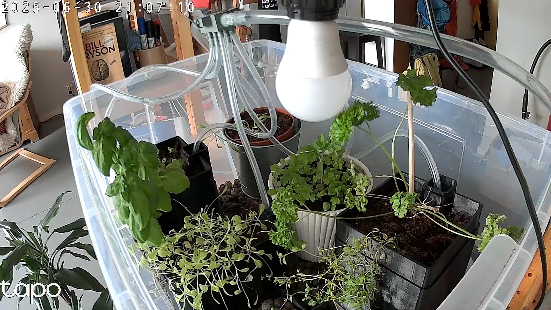 Timelapse image