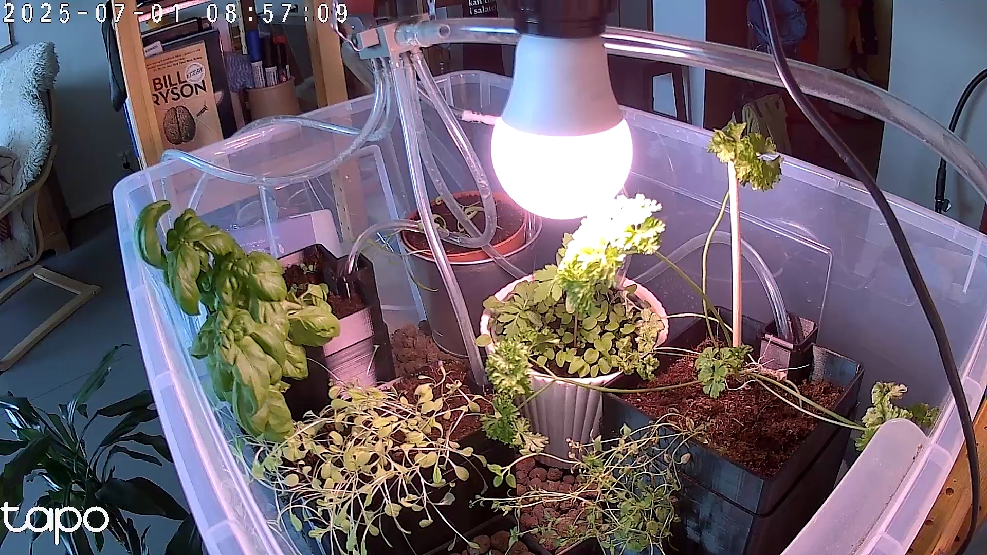 Timelapse image
