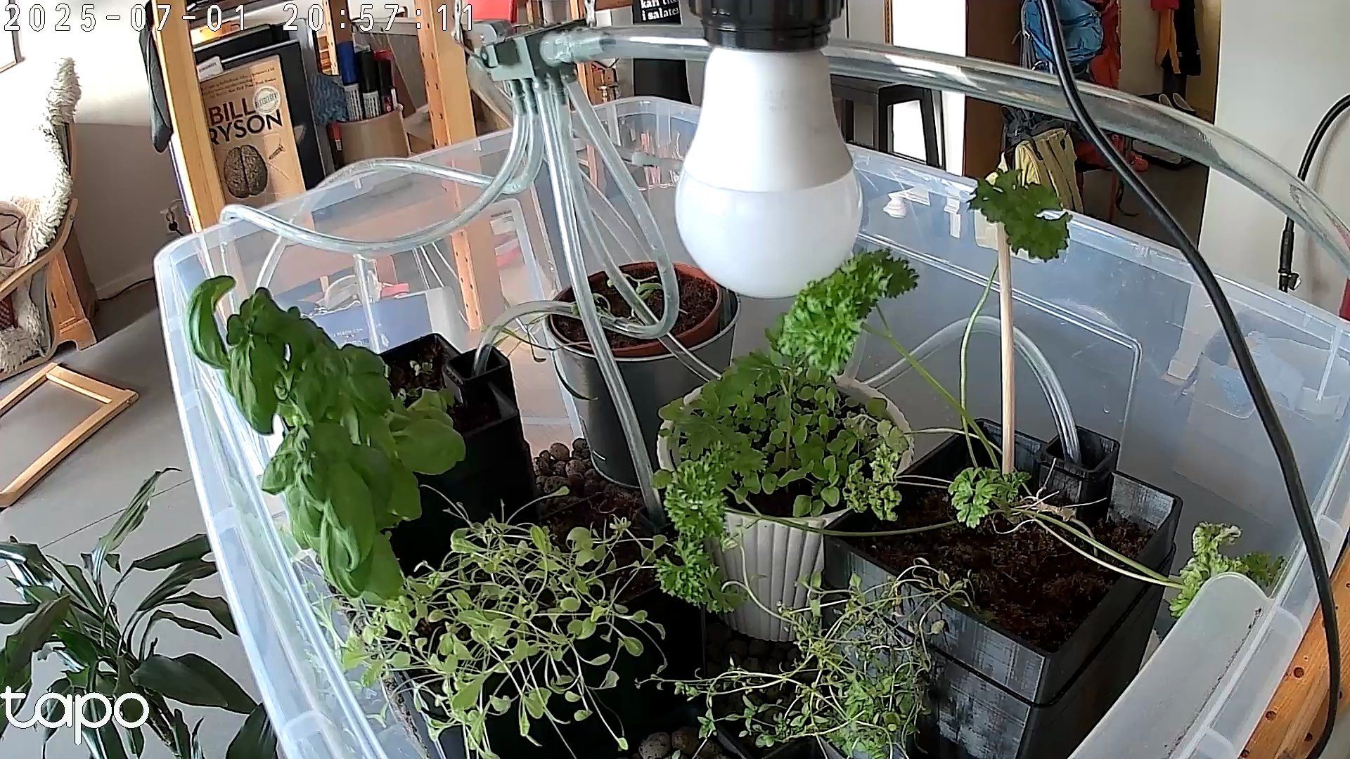 Timelapse image