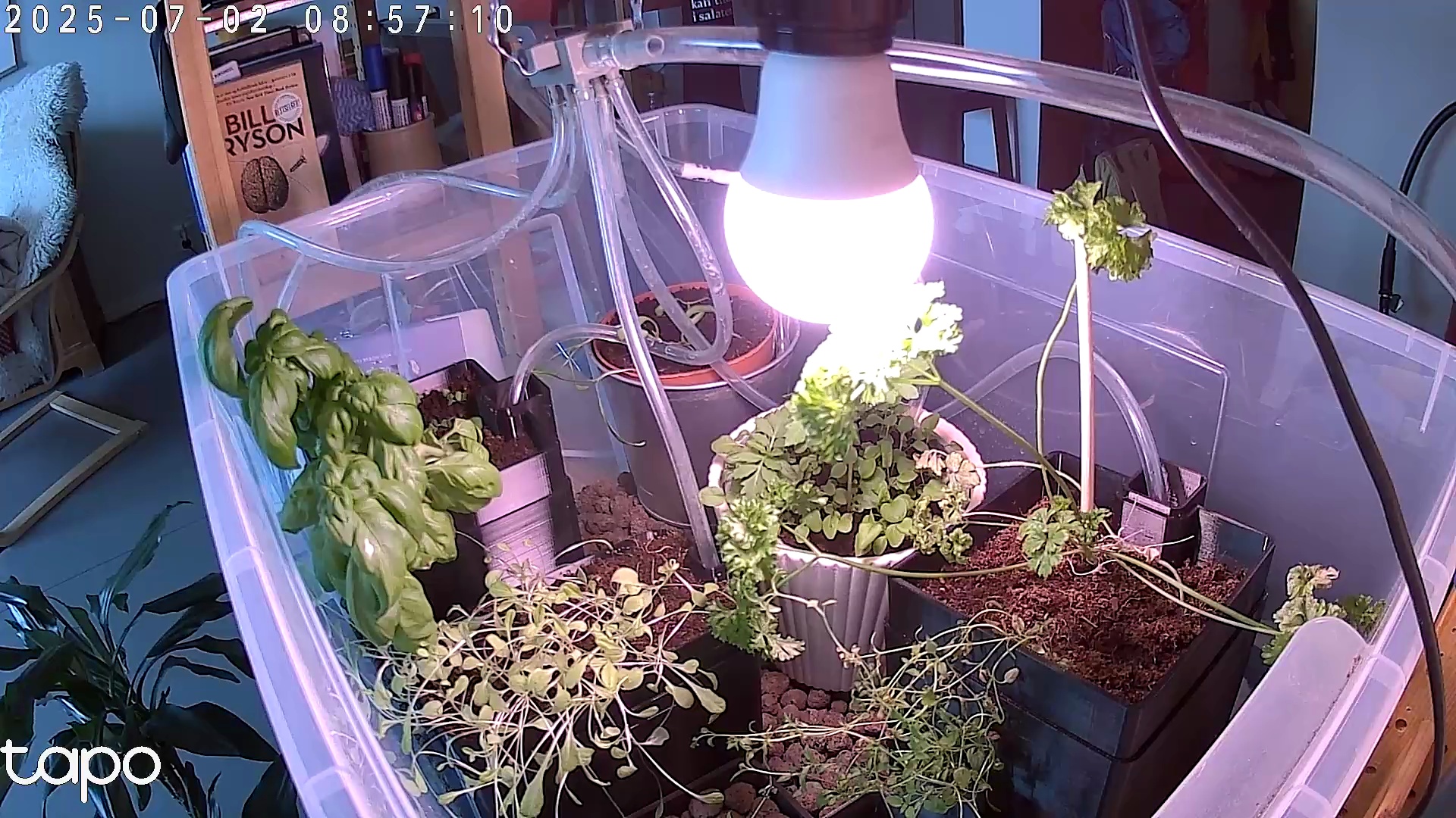 Timelapse image