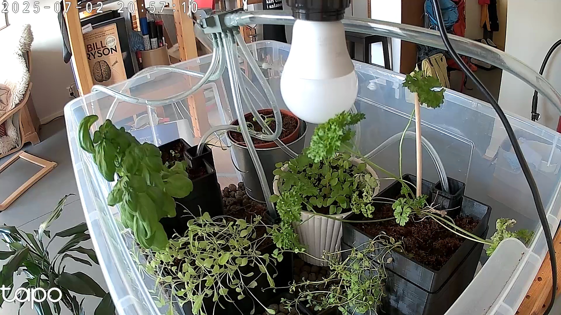 Timelapse image