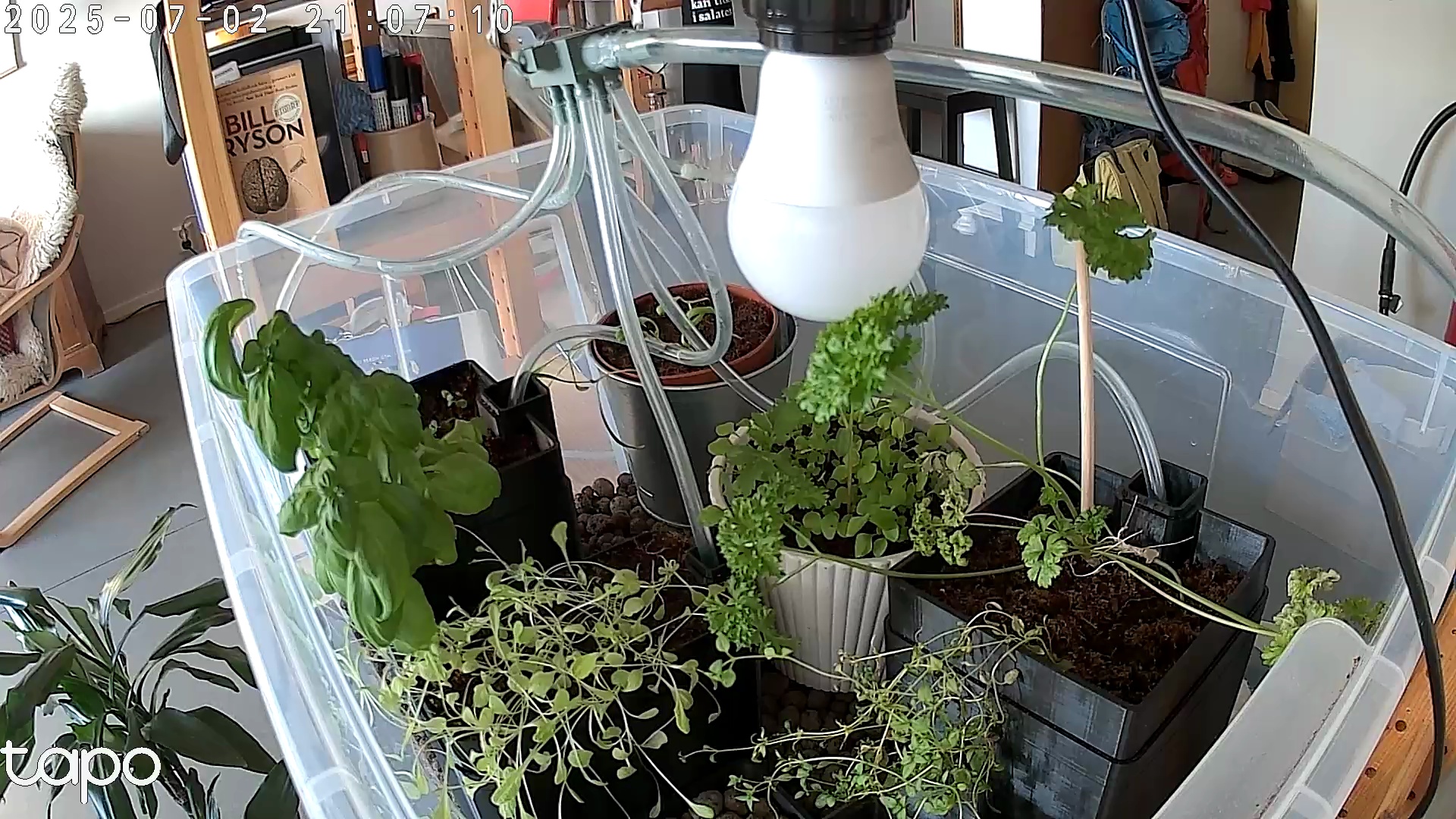 Timelapse image